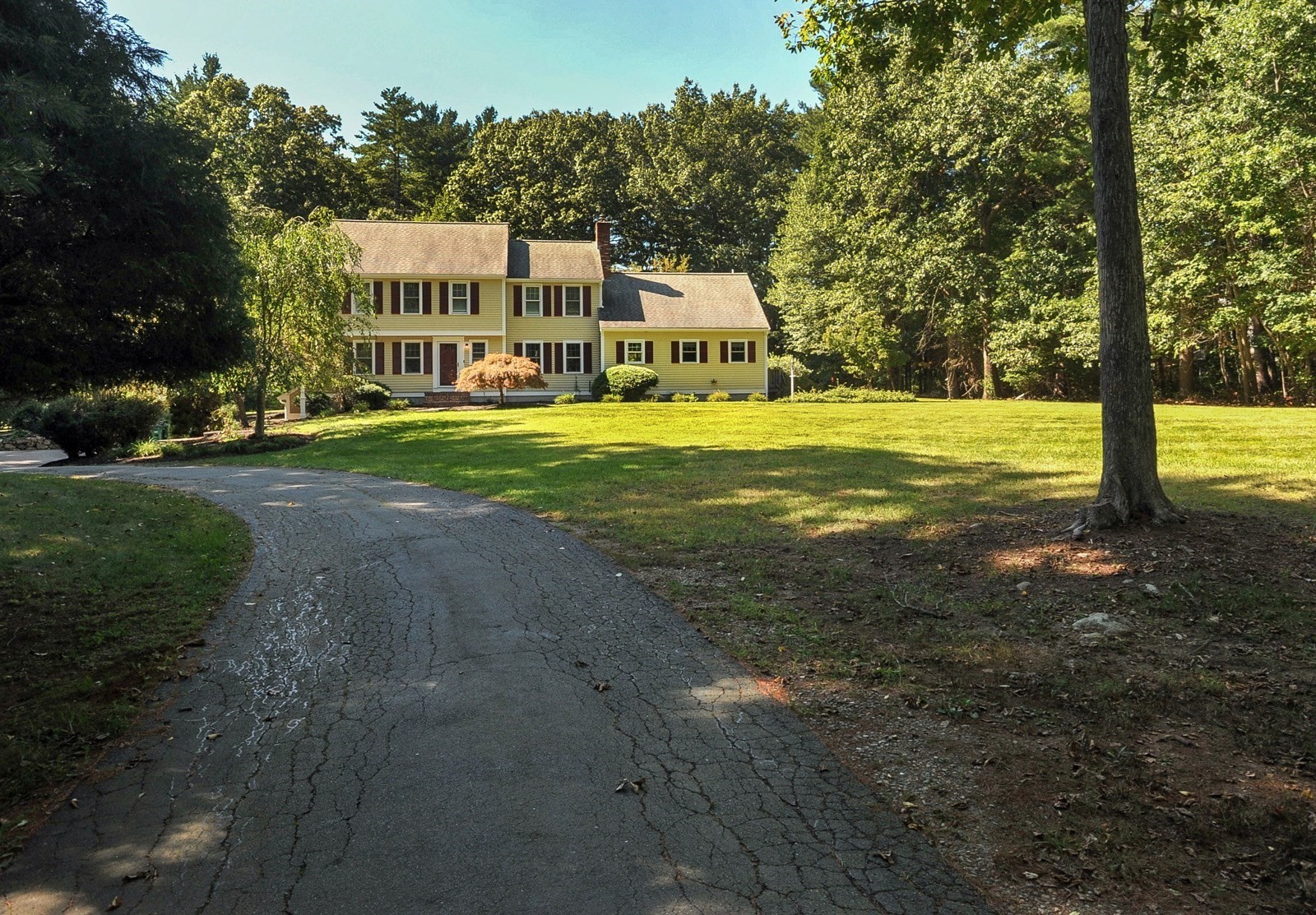41 Misty Meadow Rd Property Photo 1