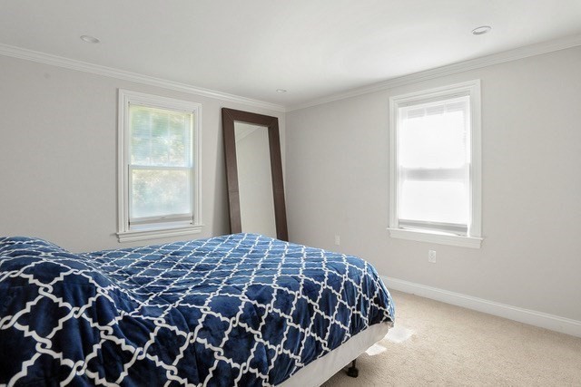 41 Misty Meadow Rd Property Photo 18