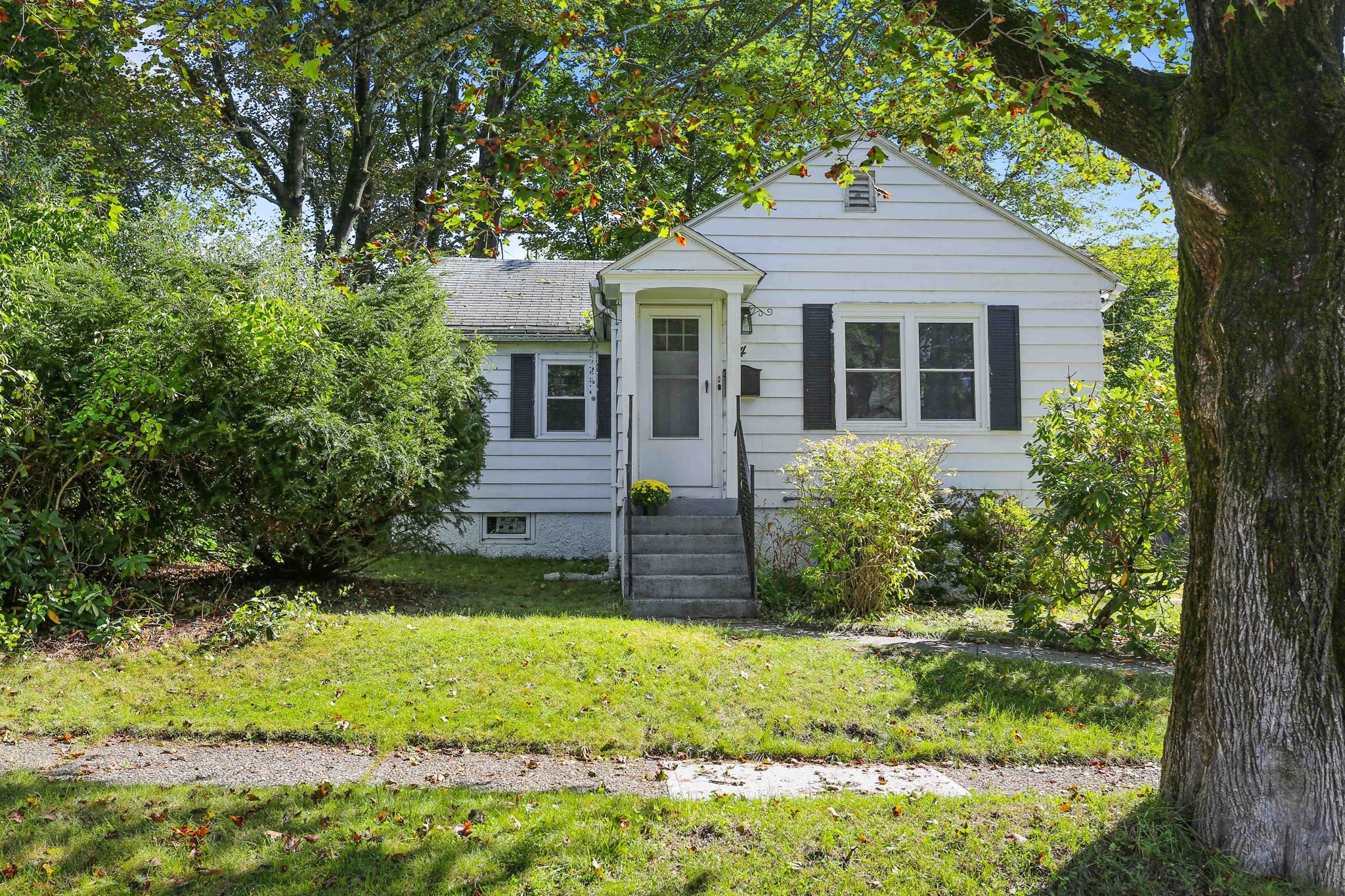 4 Pomona Rd Property Photo 2