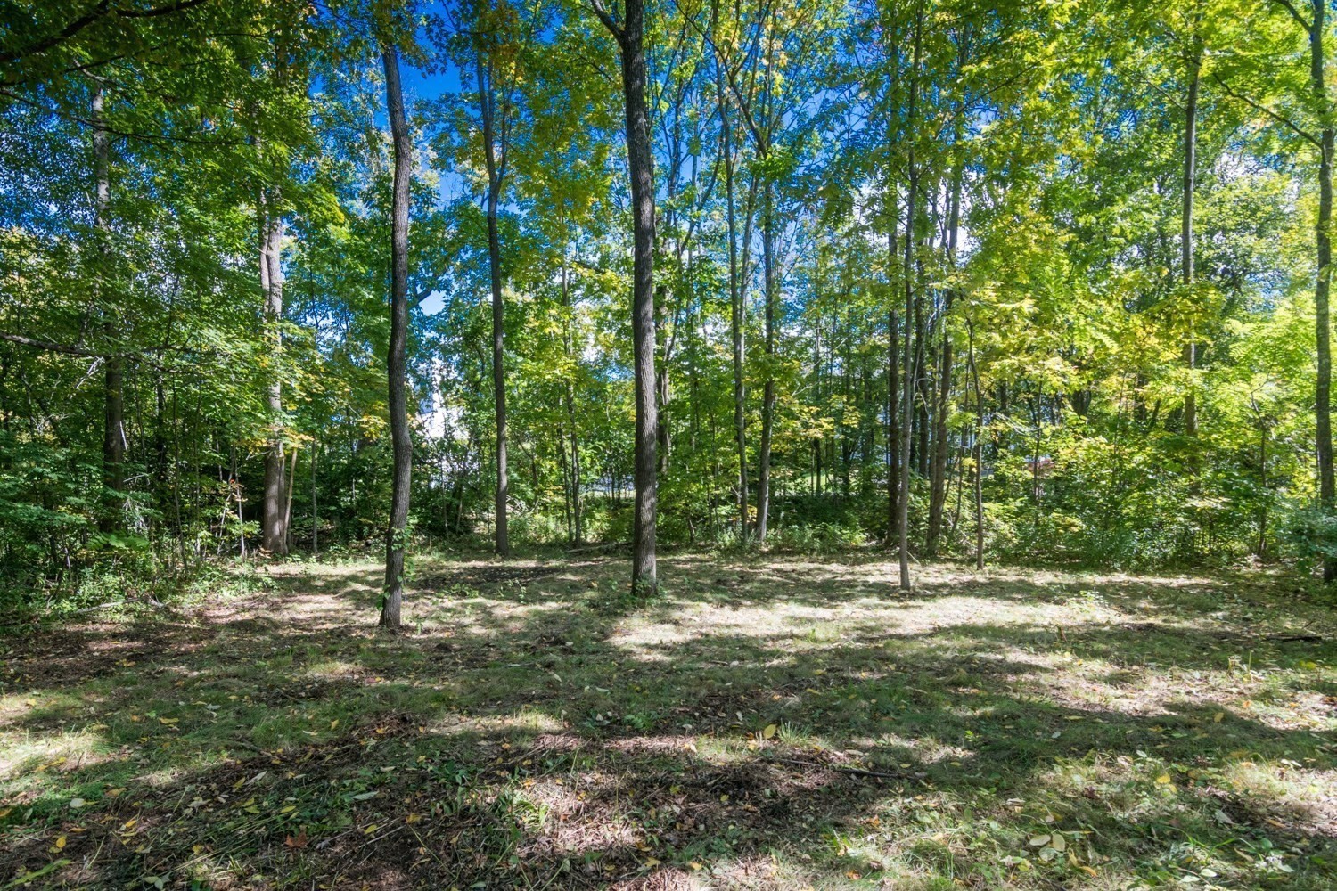 409 Main Rd Property Photo 42