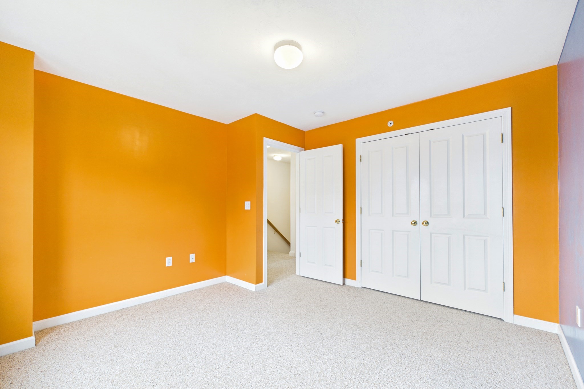 115 Boxberry Ln # 115 Property Photo 29