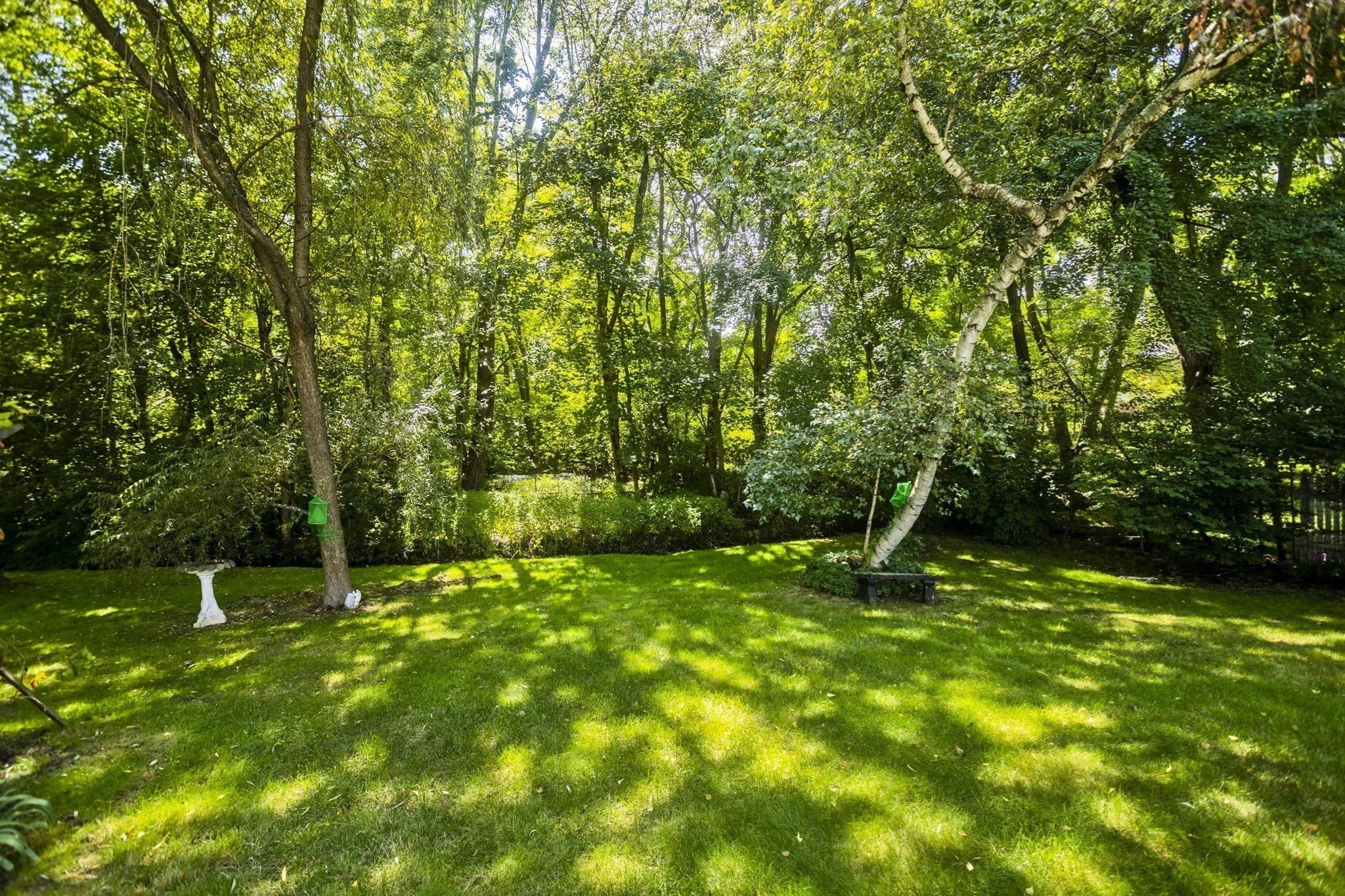 65 Beauchamp Terr. Property Photo 29