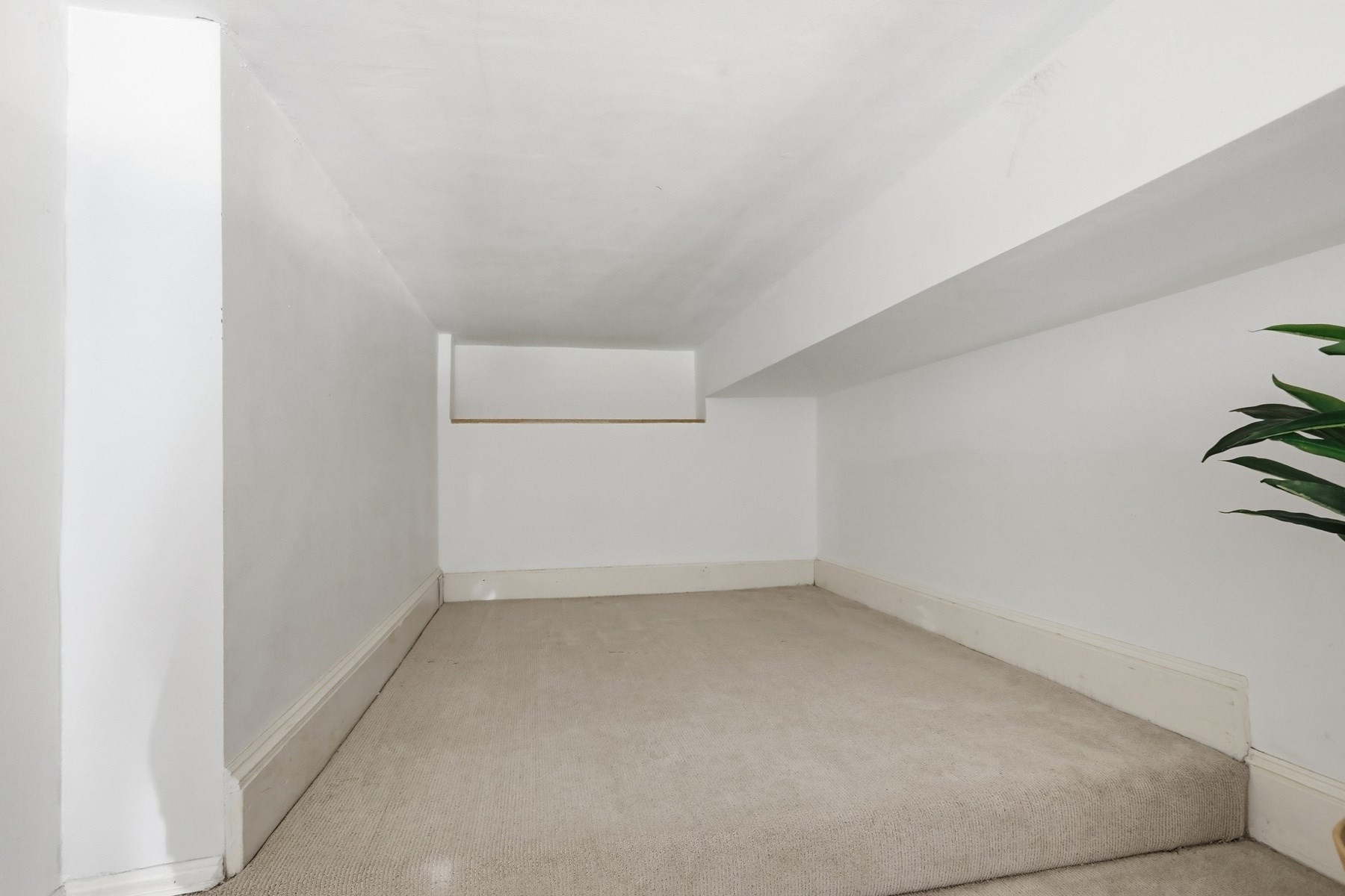 43 W. Newton Street # 10 Property Photo 16