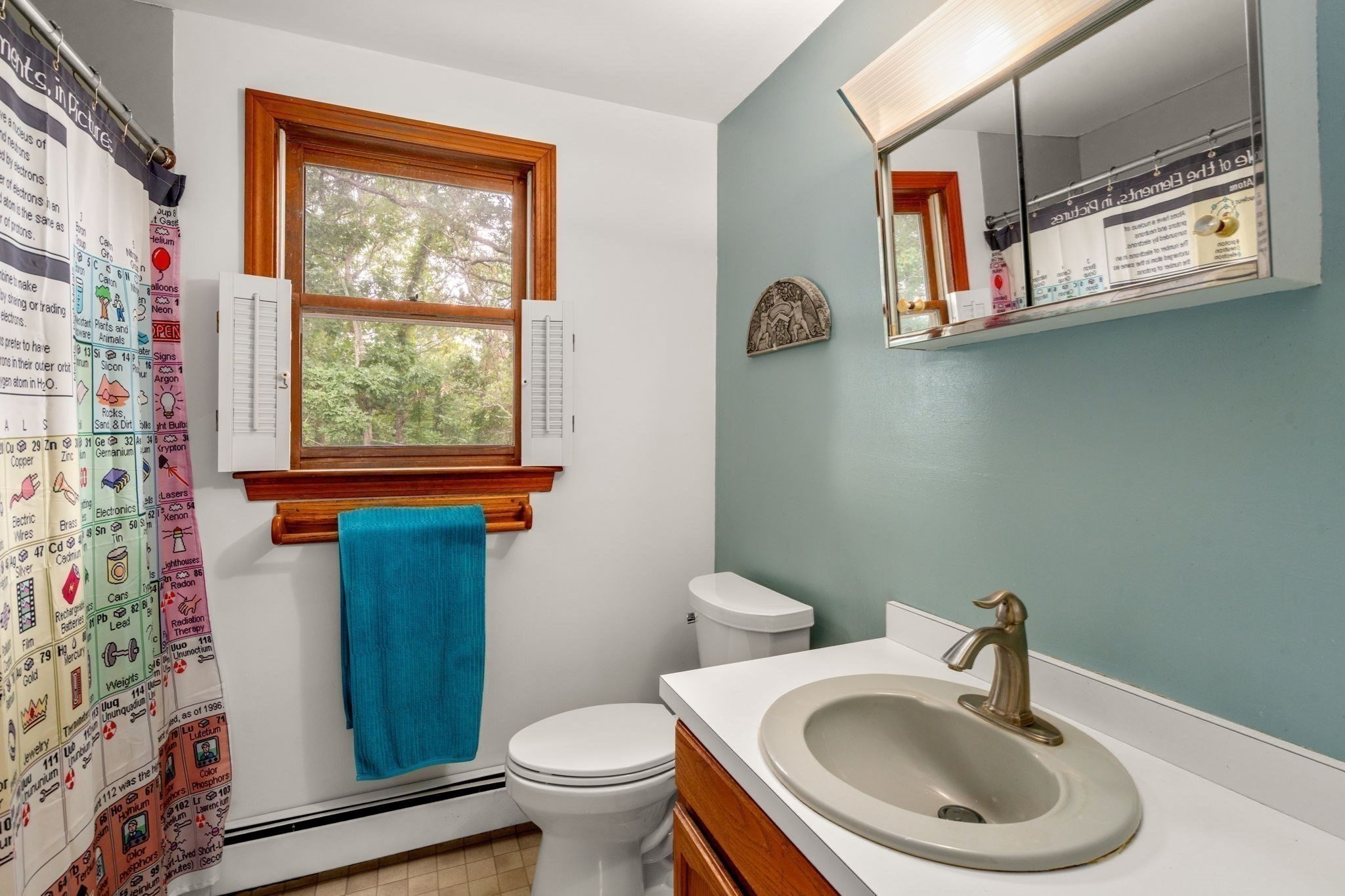 12 Eldridge Street Ext Property Photo 25