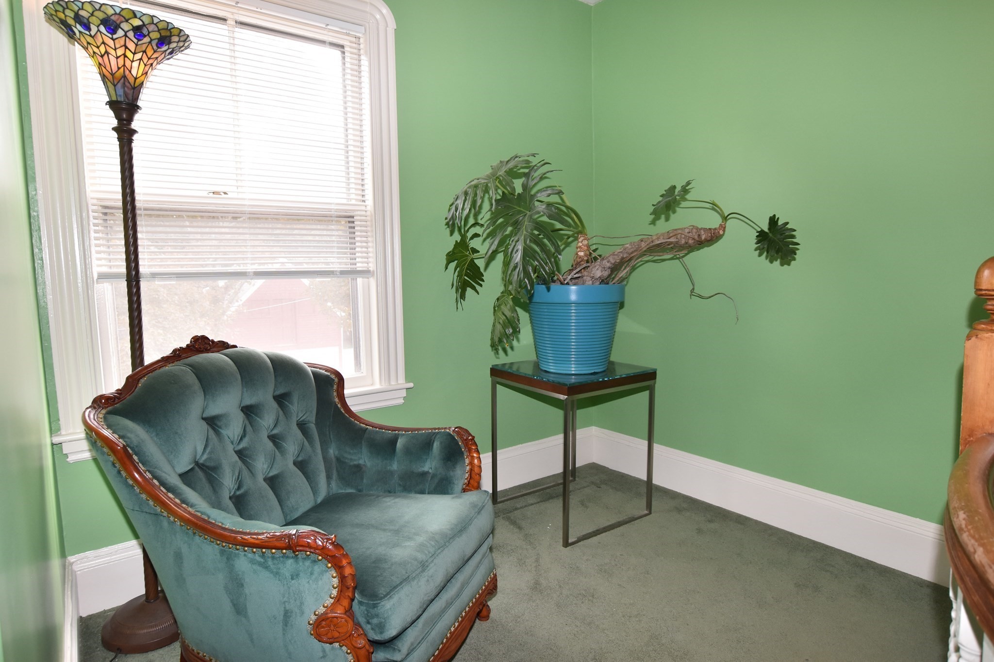 10 Holly St Property Photo 16