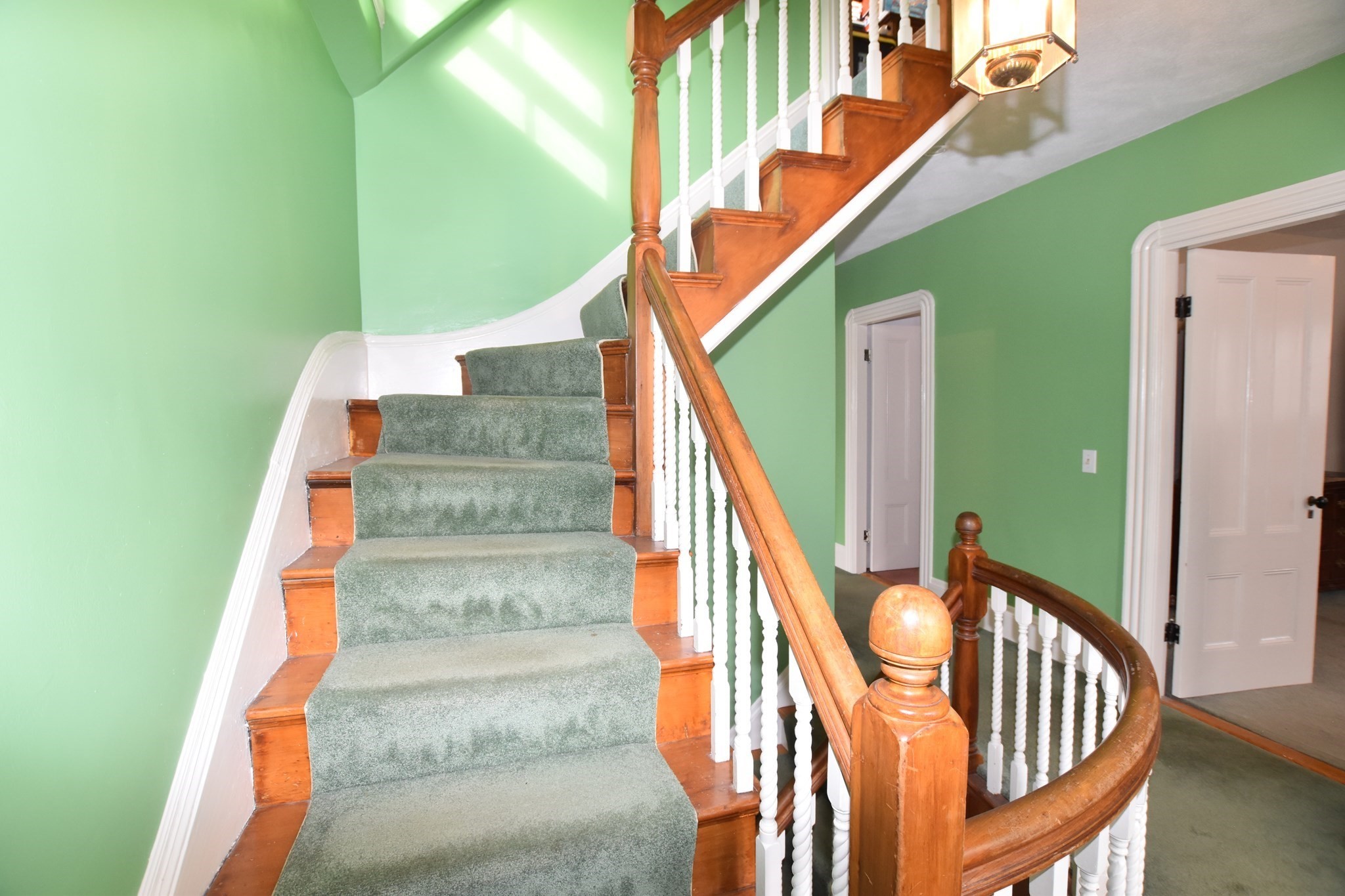 10 Holly St Property Photo 22