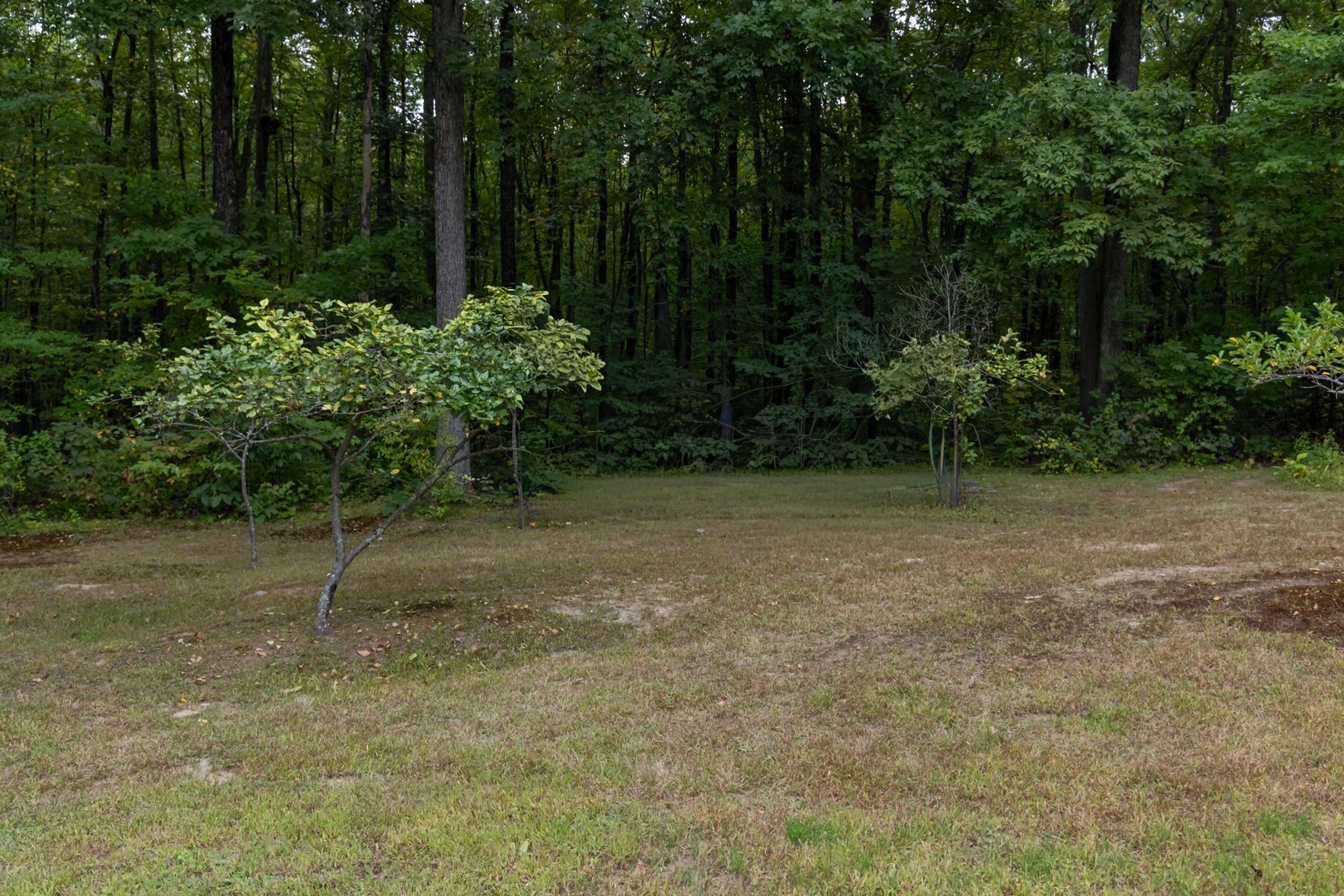 15 Hannan Ridge Rd Property Photo 41