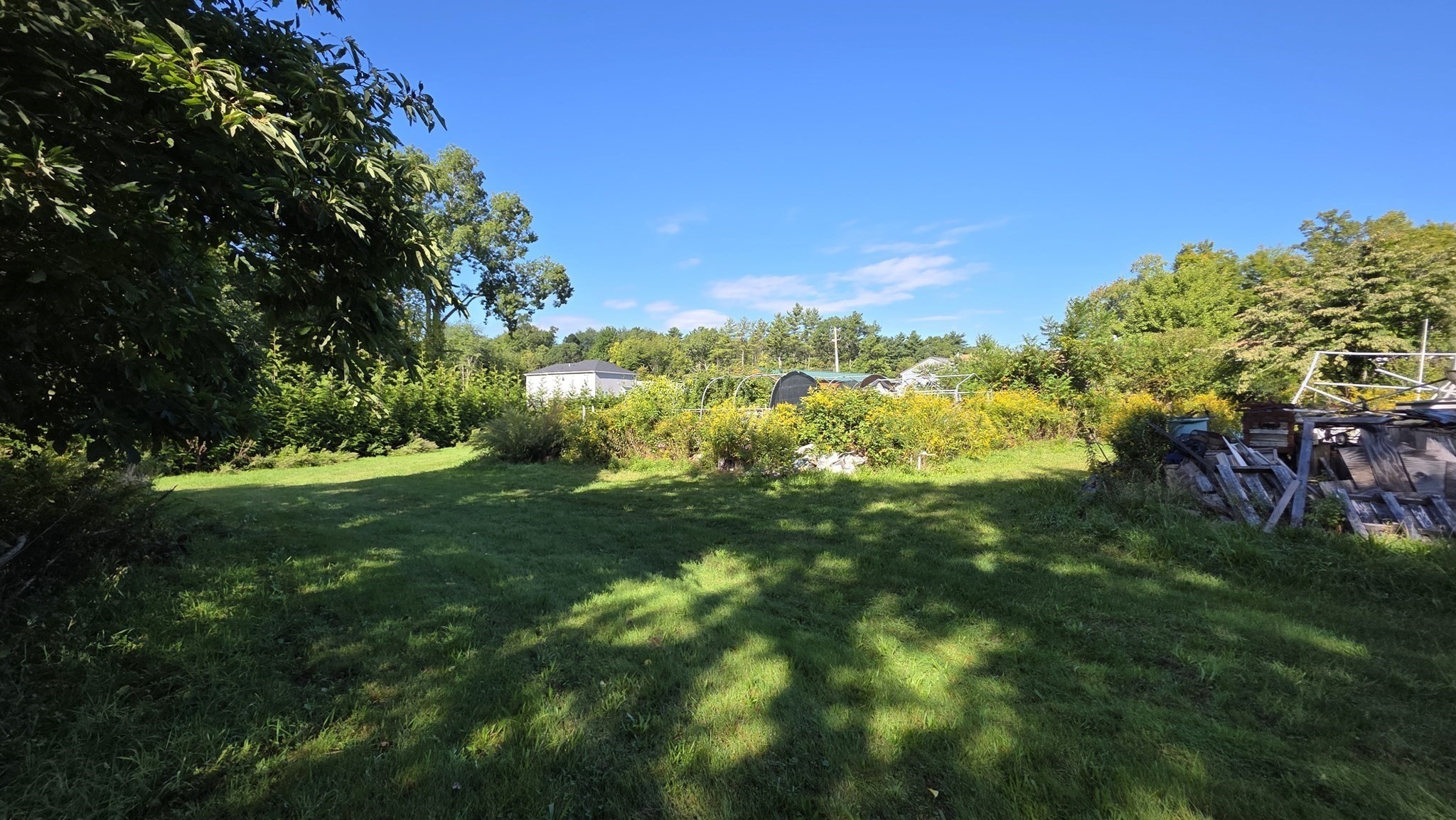 33 Myricks St Property Photo 6