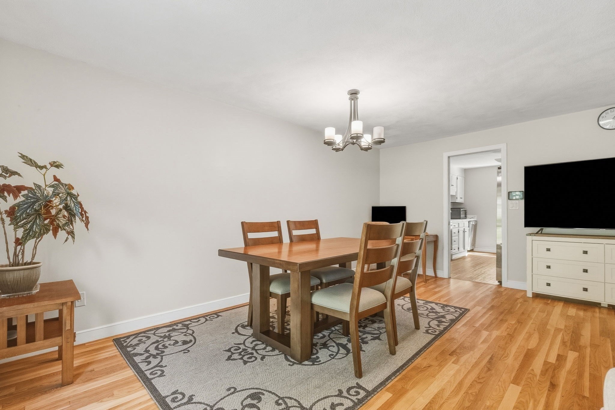 3 Seaborn Place # 3 Property Photo 8