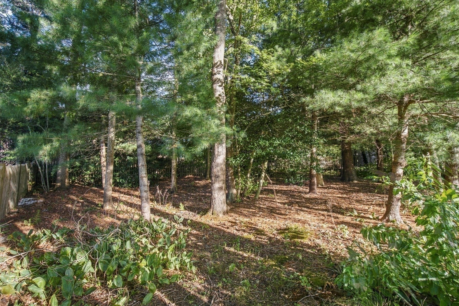 402 Prince Hinckley Rd Property Photo 5