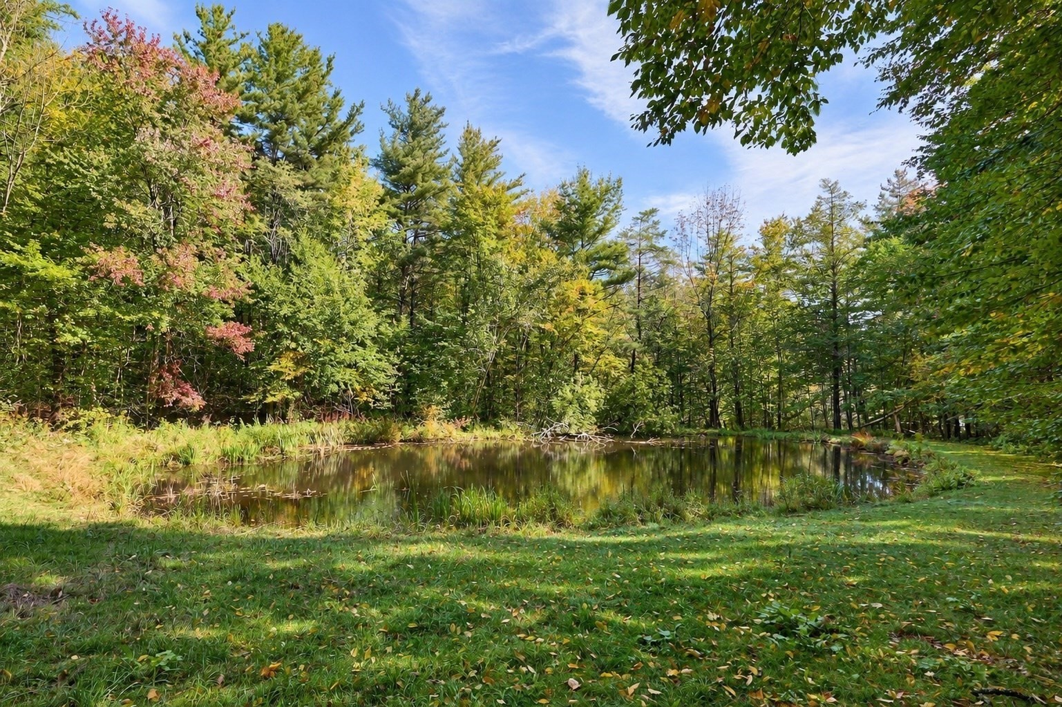 97 Forget Road Property Photo 34