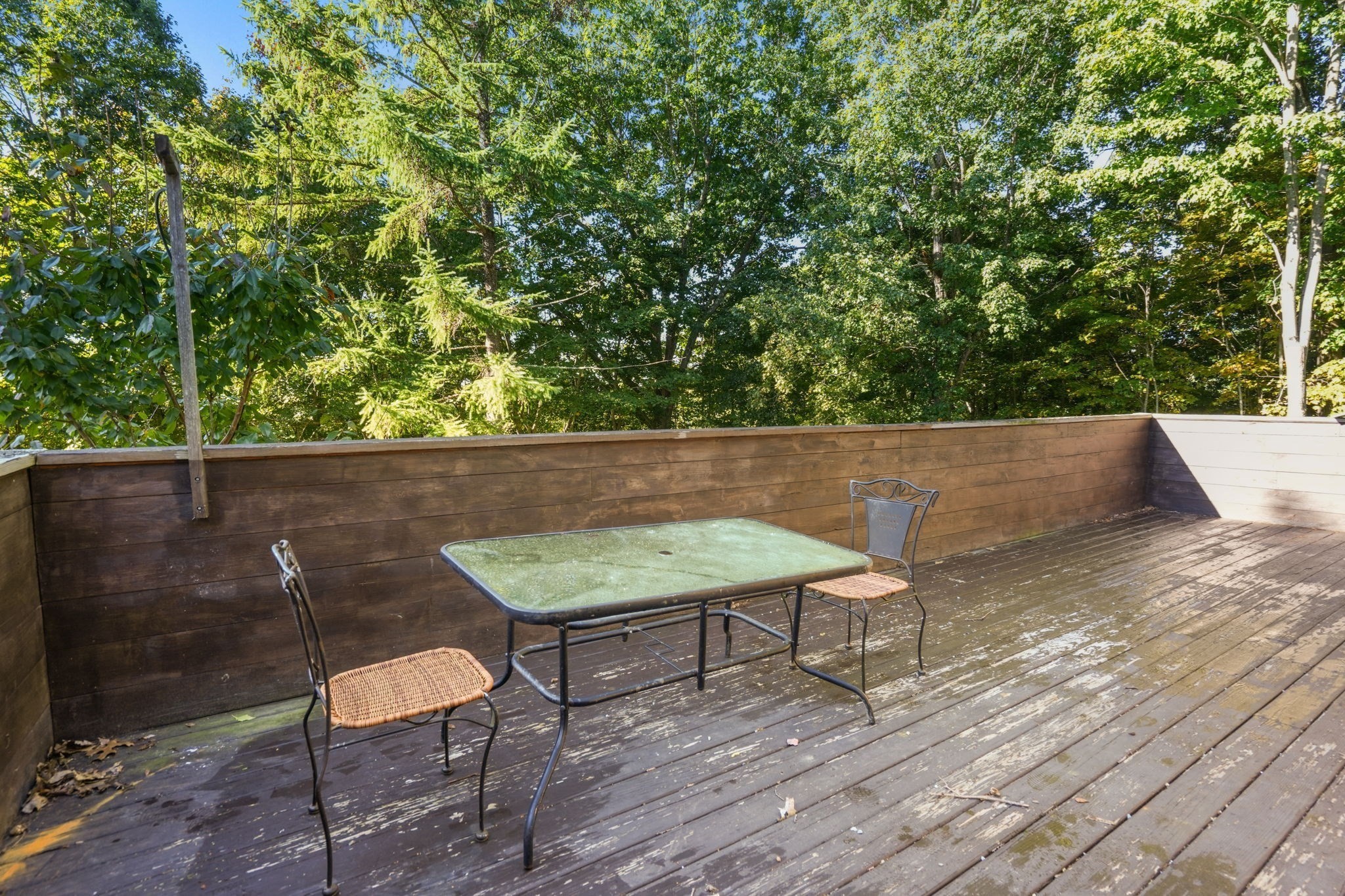 88 Bell St Property Photo 28