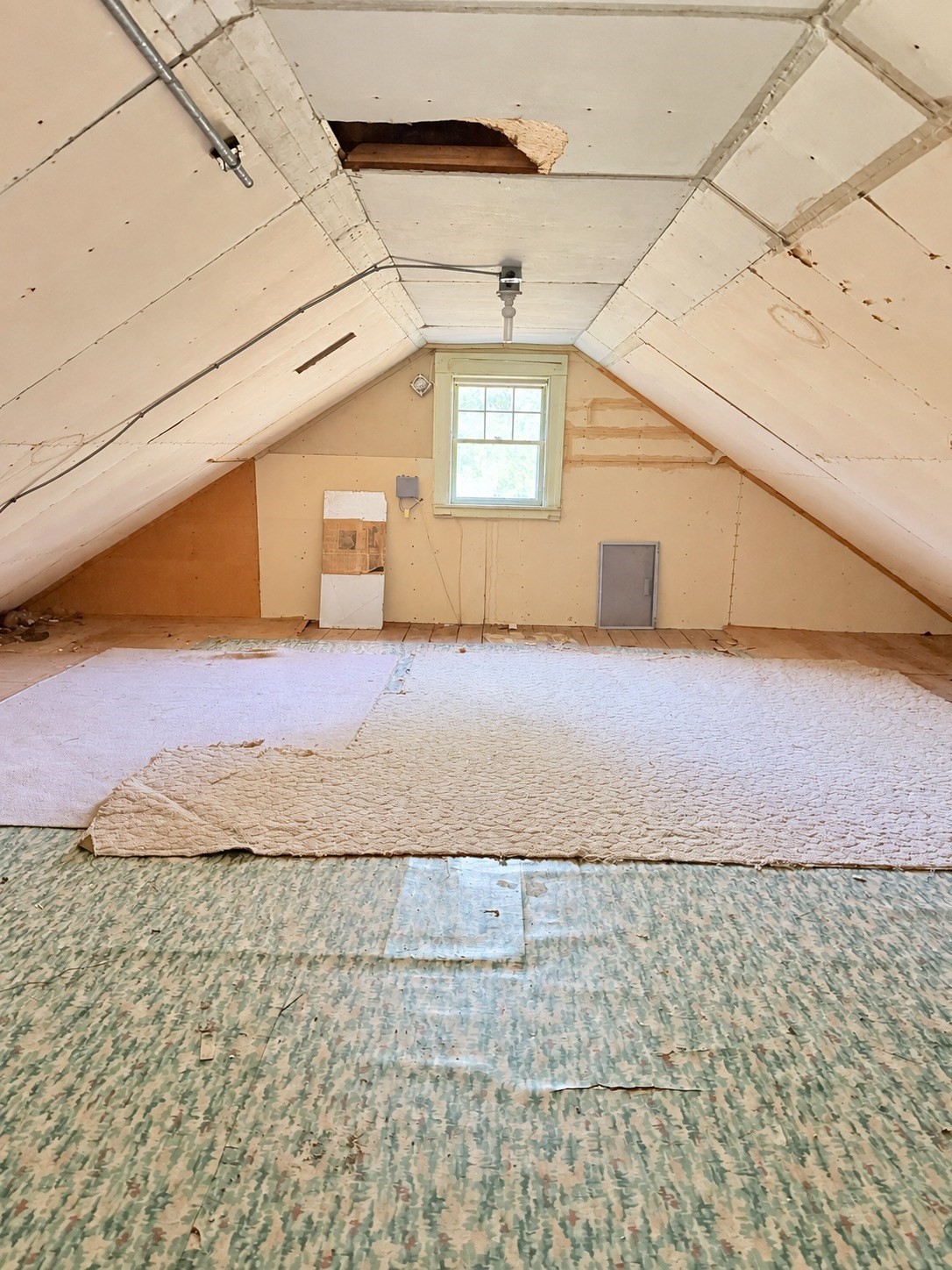 16 Winnipeg St Property Photo 10