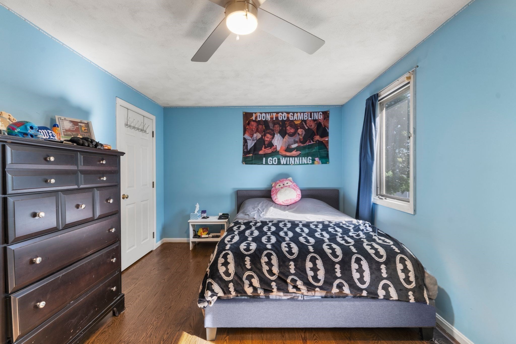 3 Carnegie Way Property Photo 15