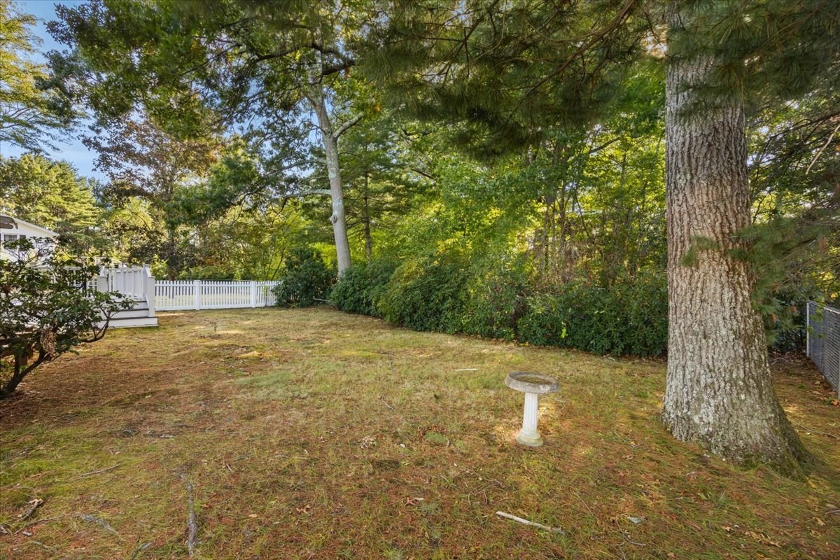 35 Bullard St Property Photo 32