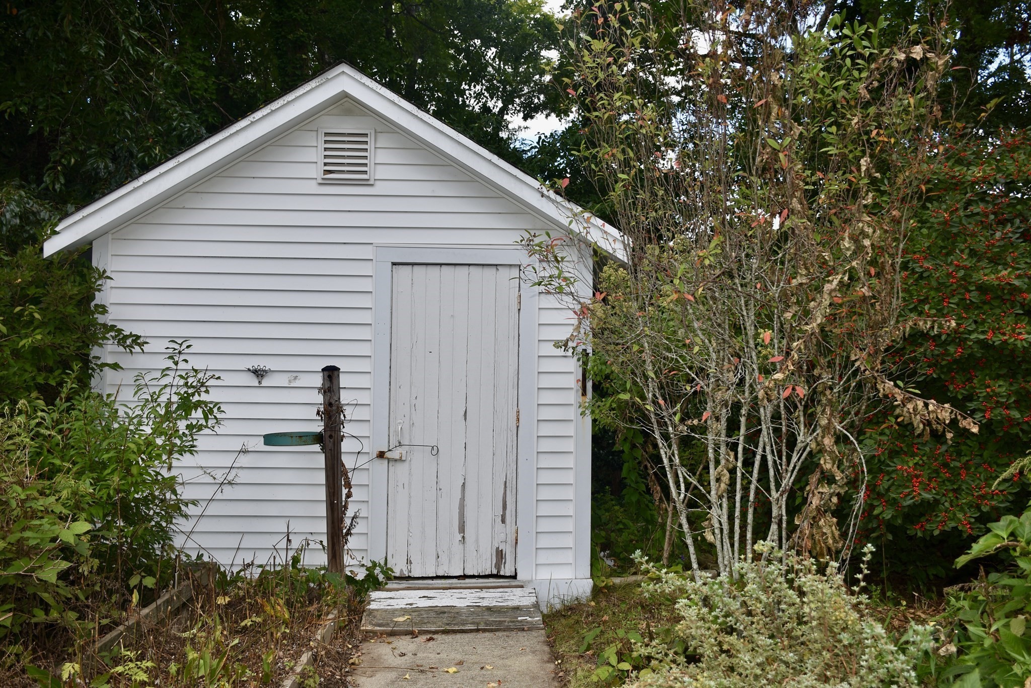 12 Lake Rd E Property Photo 19