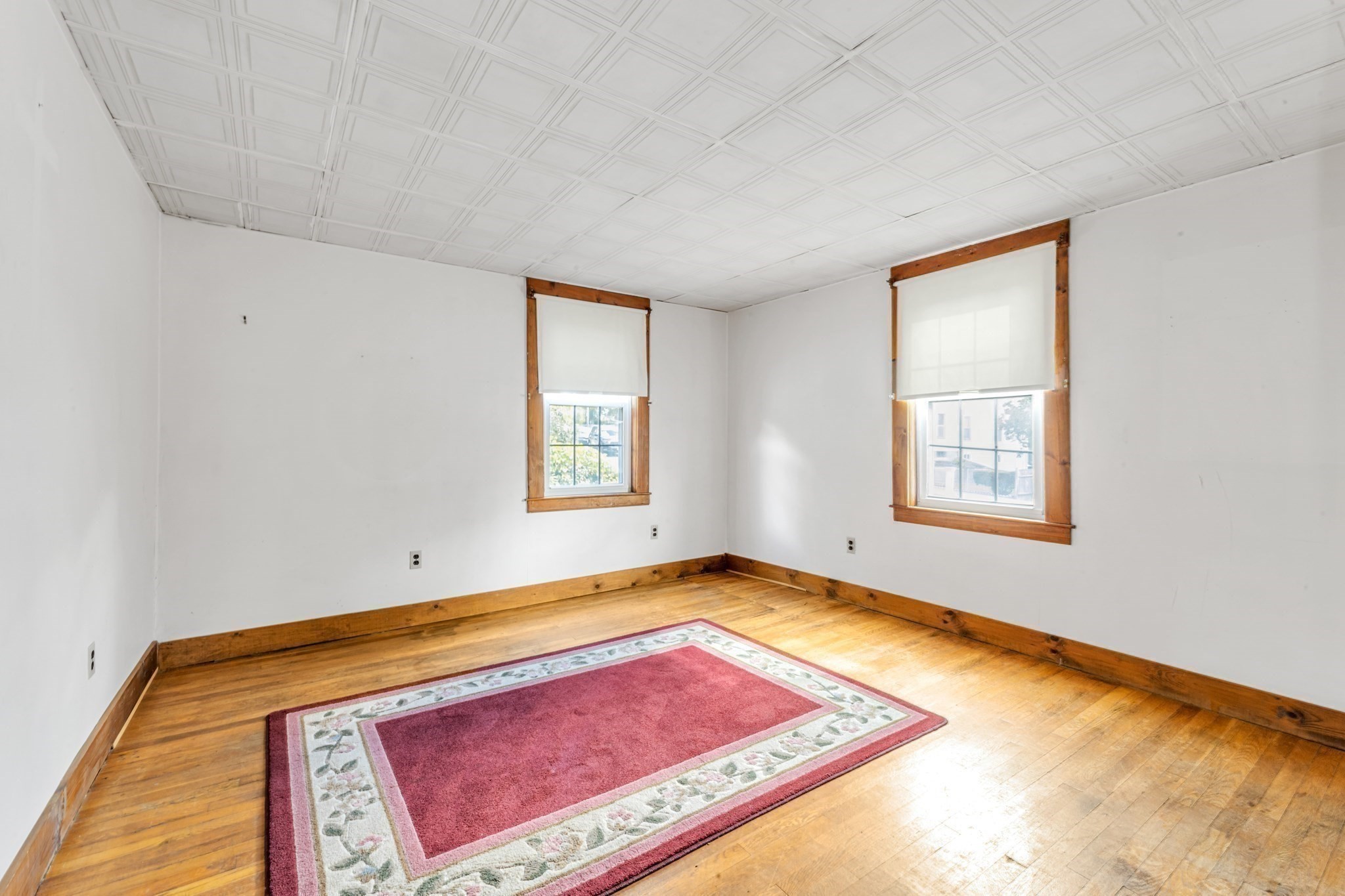 22 Barry St Property Photo 13