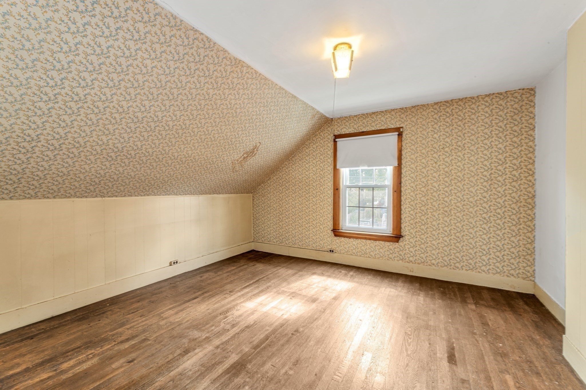 22 Barry St Property Photo 16