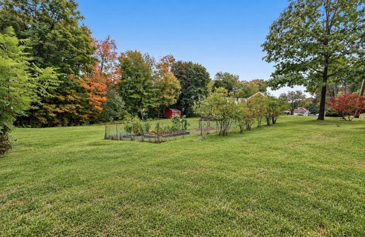 29 Ellen Property Photo 29