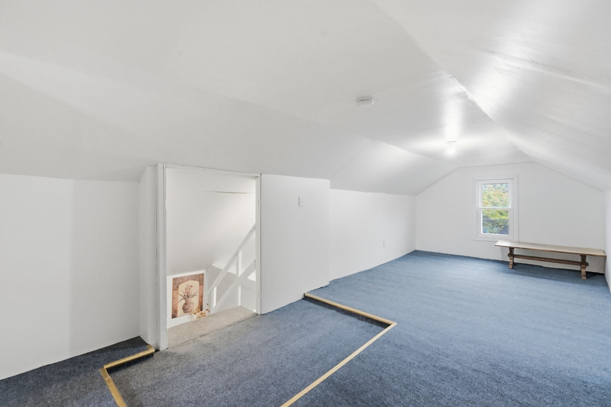 1774 Carew St Property Photo 23