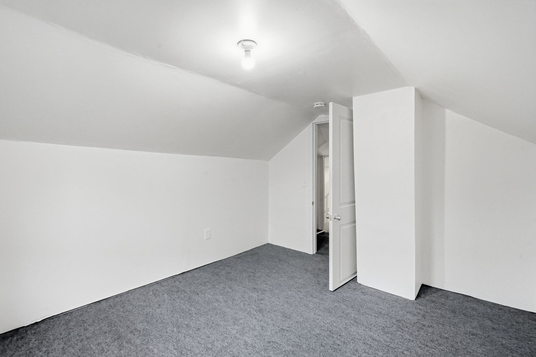 1774 Carew St Property Photo 24