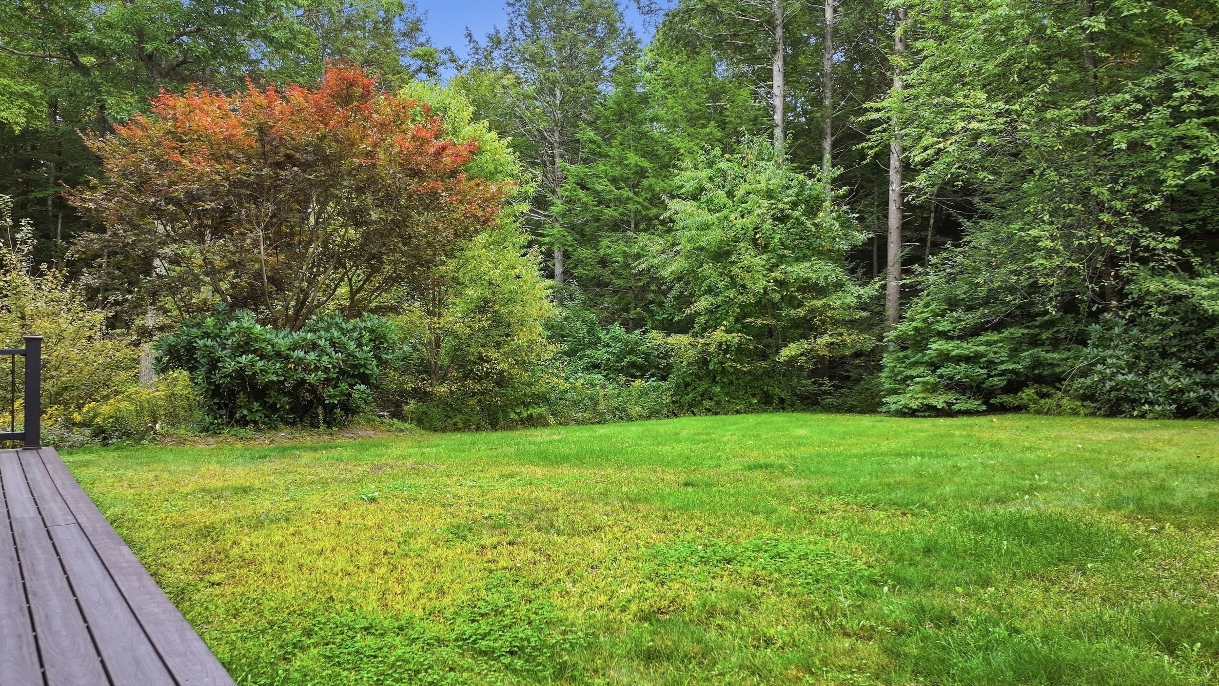 6 Nestlewood Ln Property Photo 38