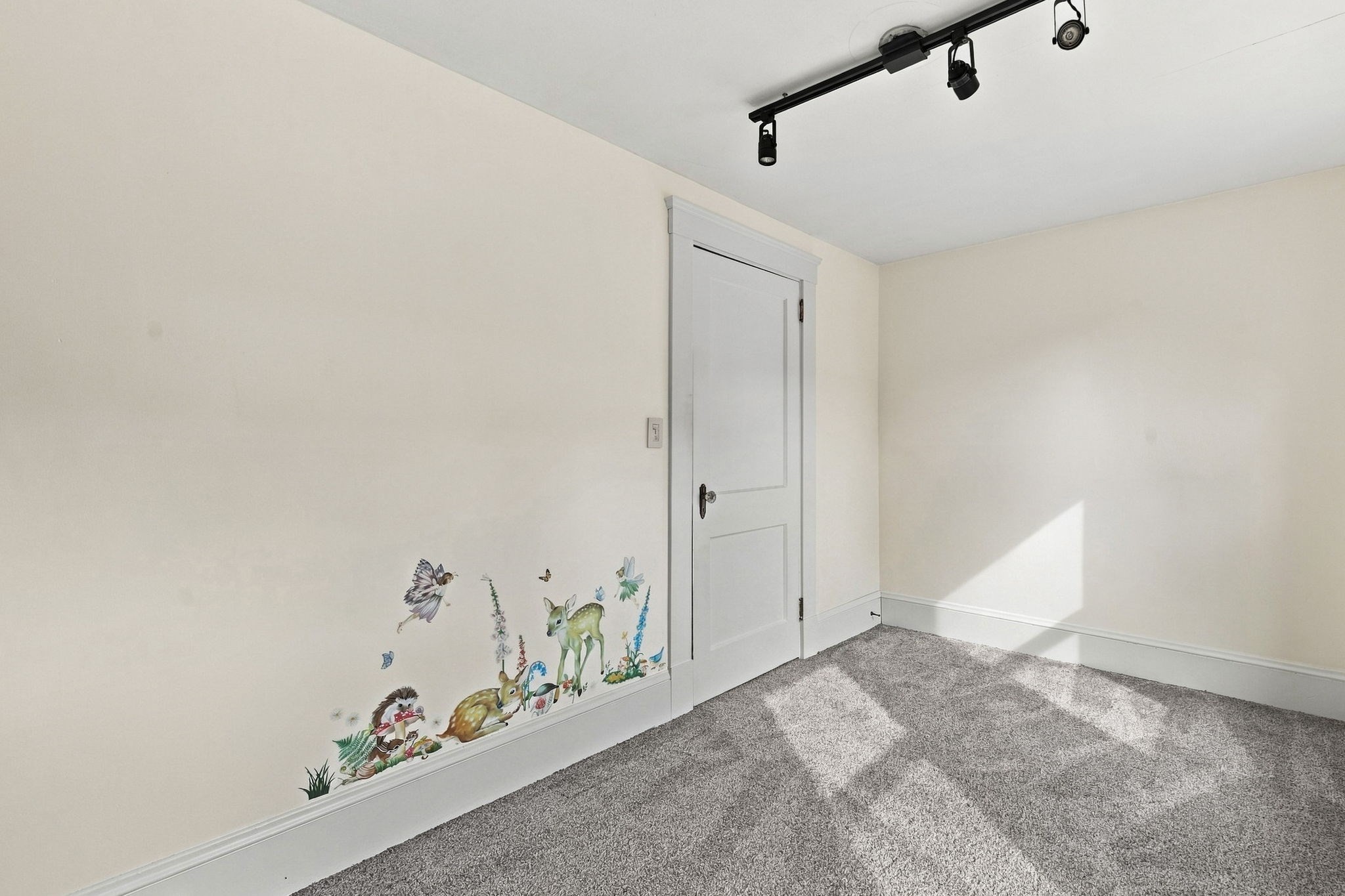 10 Salem St Property Photo 29