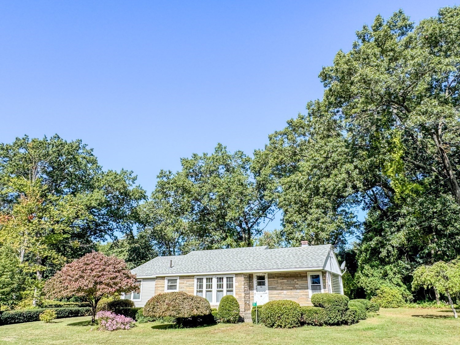 54 Dell Street Property Photo 1