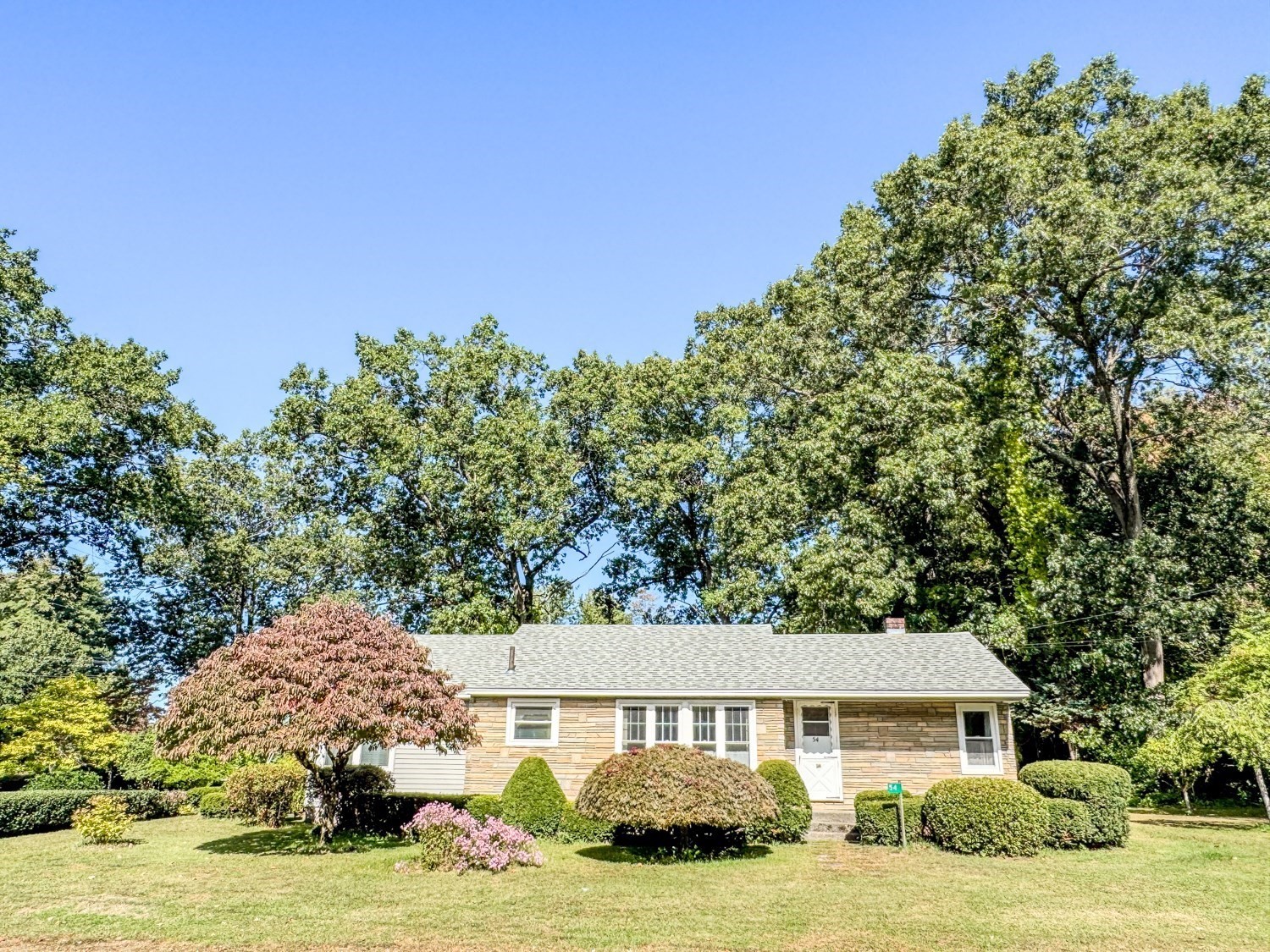 54 Dell Street Property Photo 2