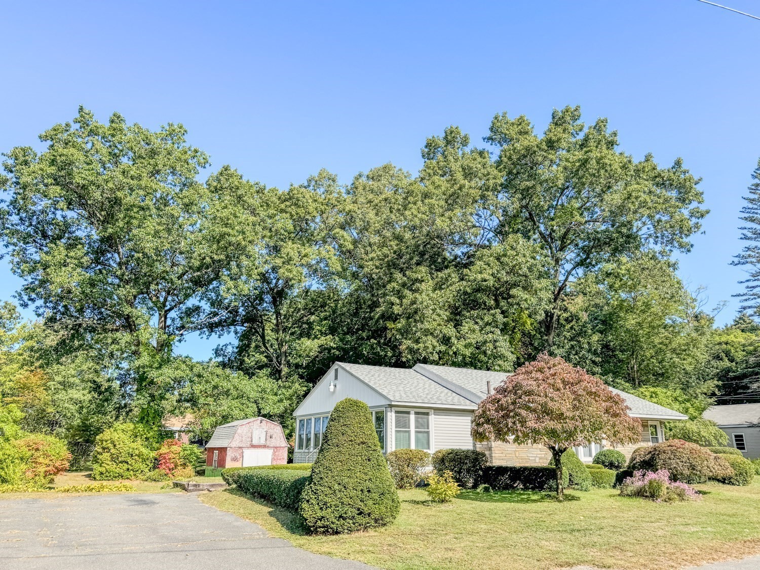 54 Dell Street Property Photo 3