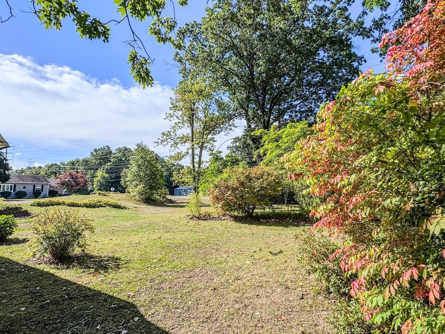 54 Dell Street Property Photo 32