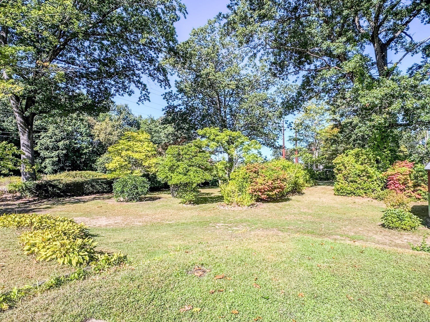 54 Dell Street Property Photo 33