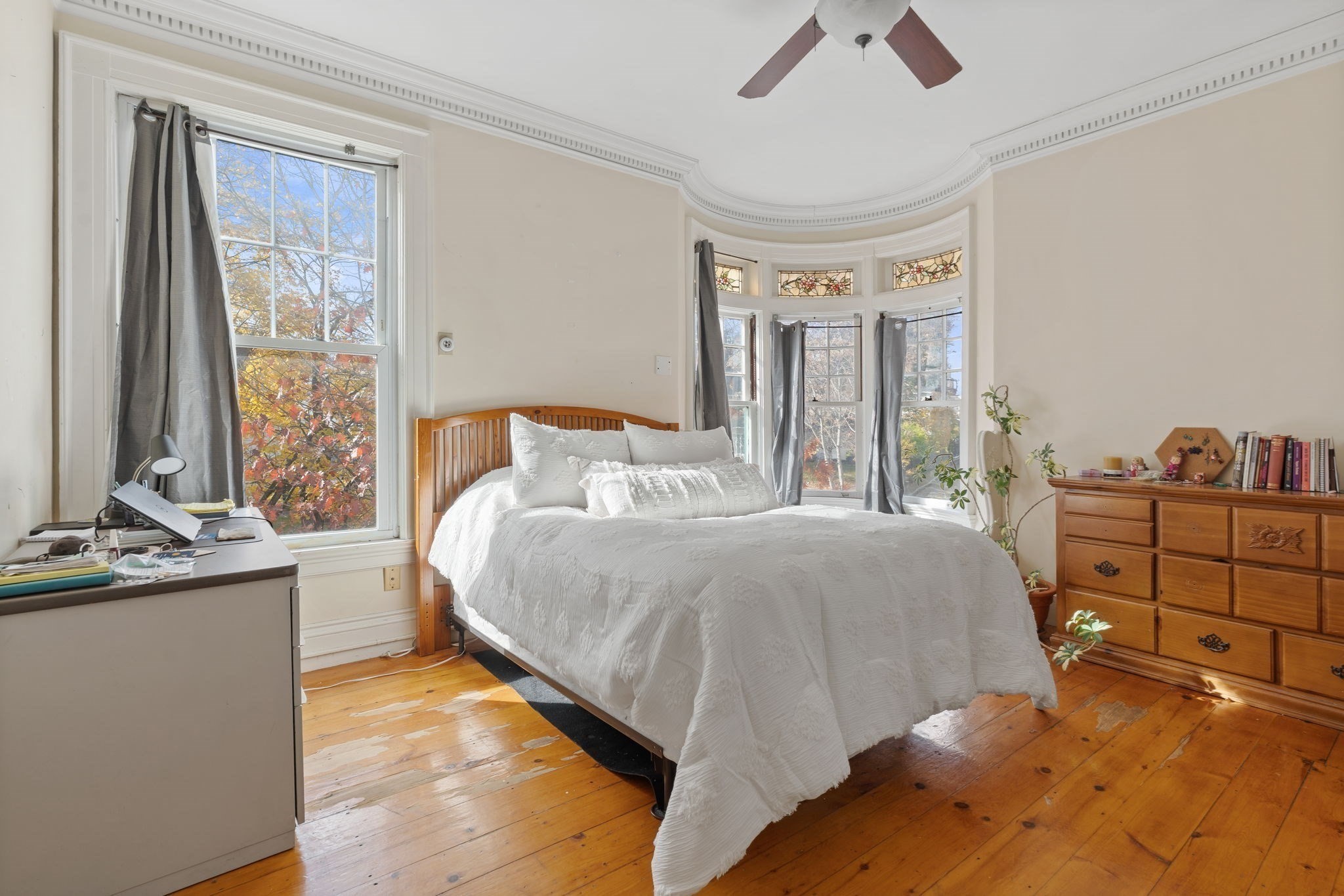 5 Claremont St Property Photo 32