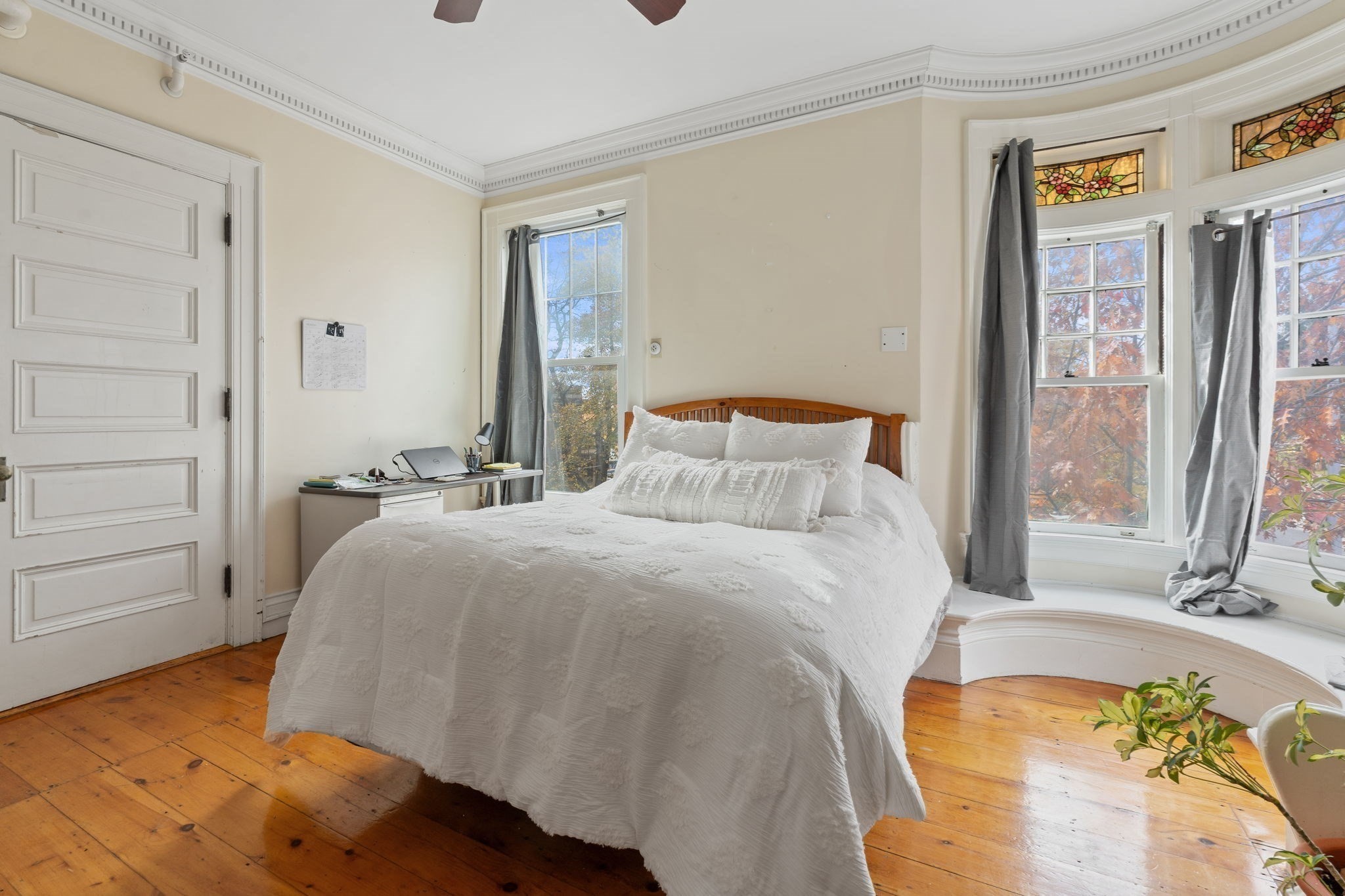 5 Claremont St Property Photo 33