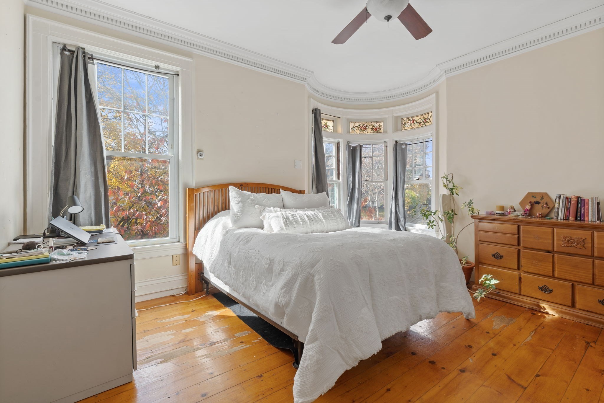 5 Claremont St Property Photo 31