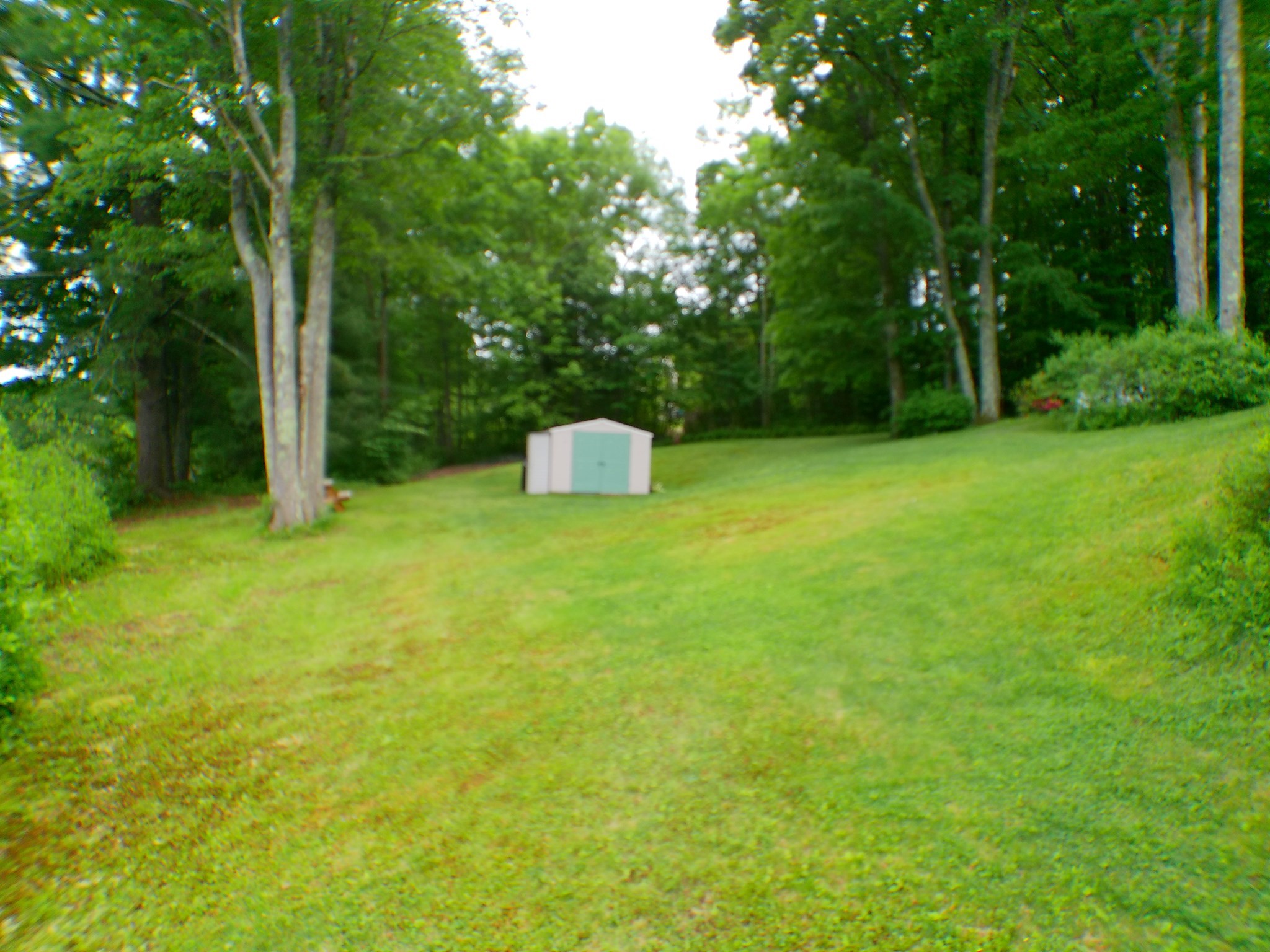 20 Forest St Property Photo 5