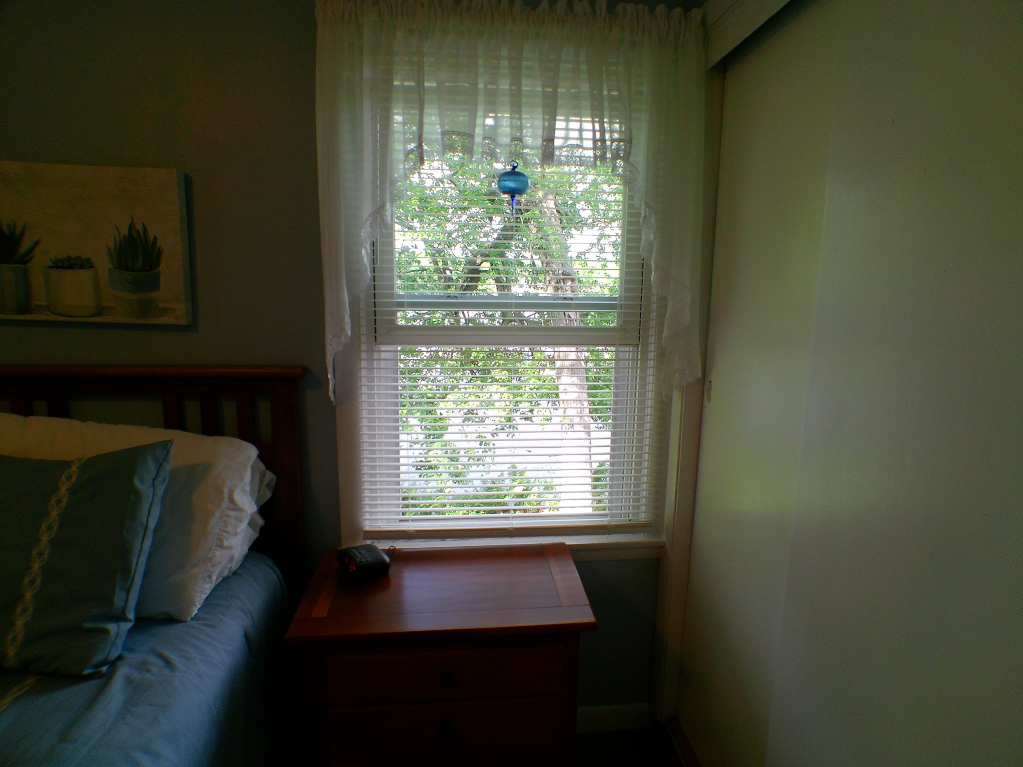 20 Forest St Property Photo 14