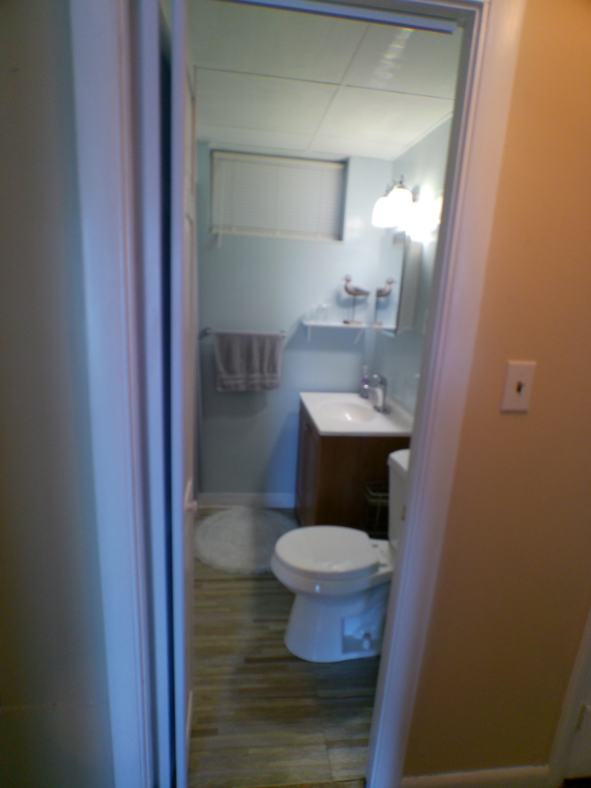 20 Forest St Property Photo 30
