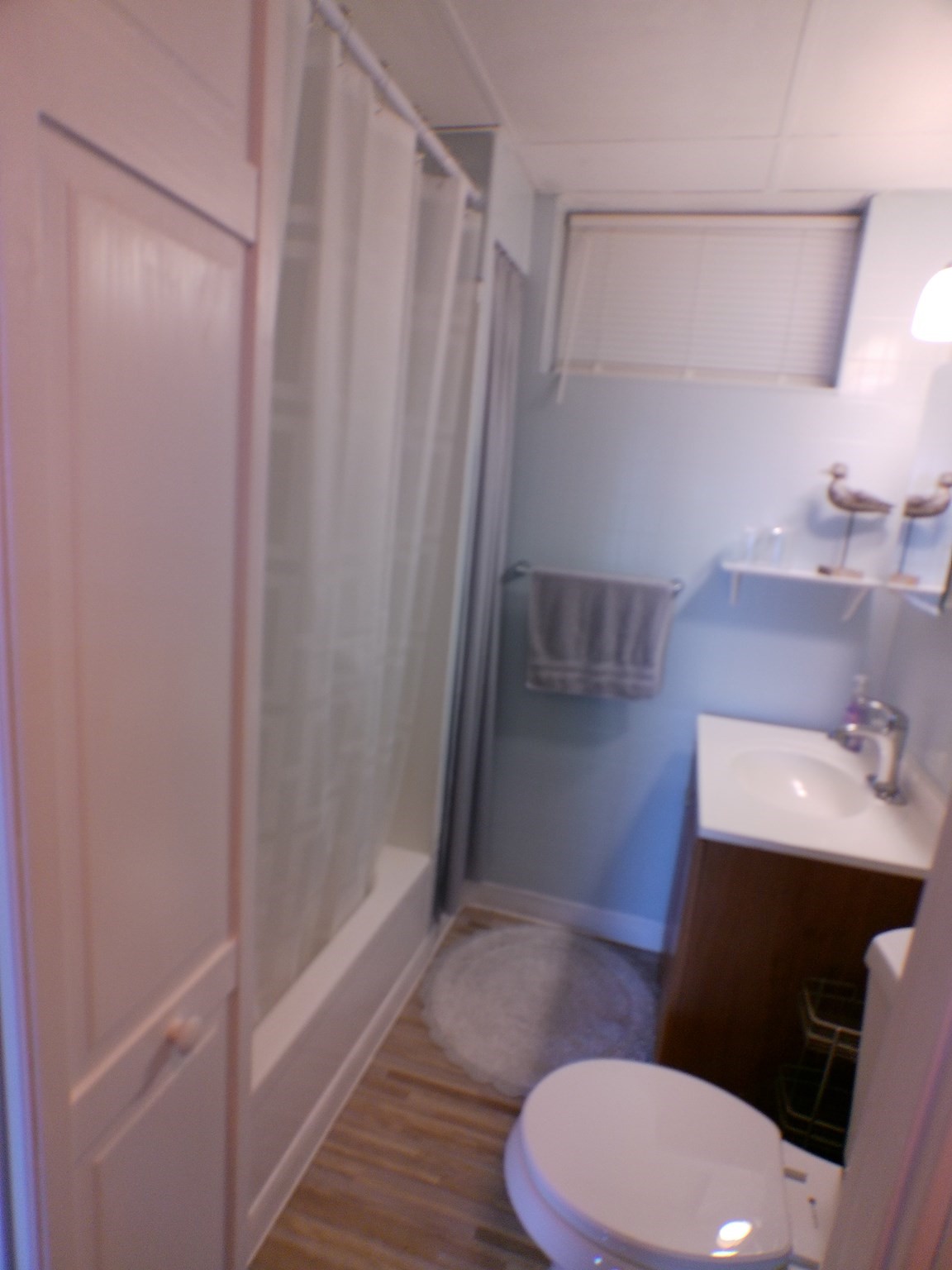20 Forest St Property Photo 31