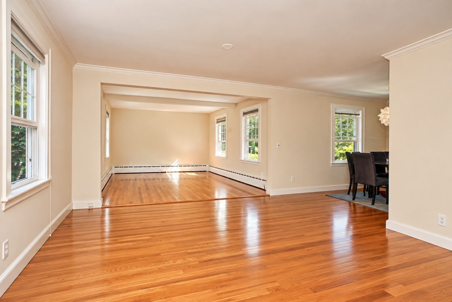 3 Waltham Property Photo 4