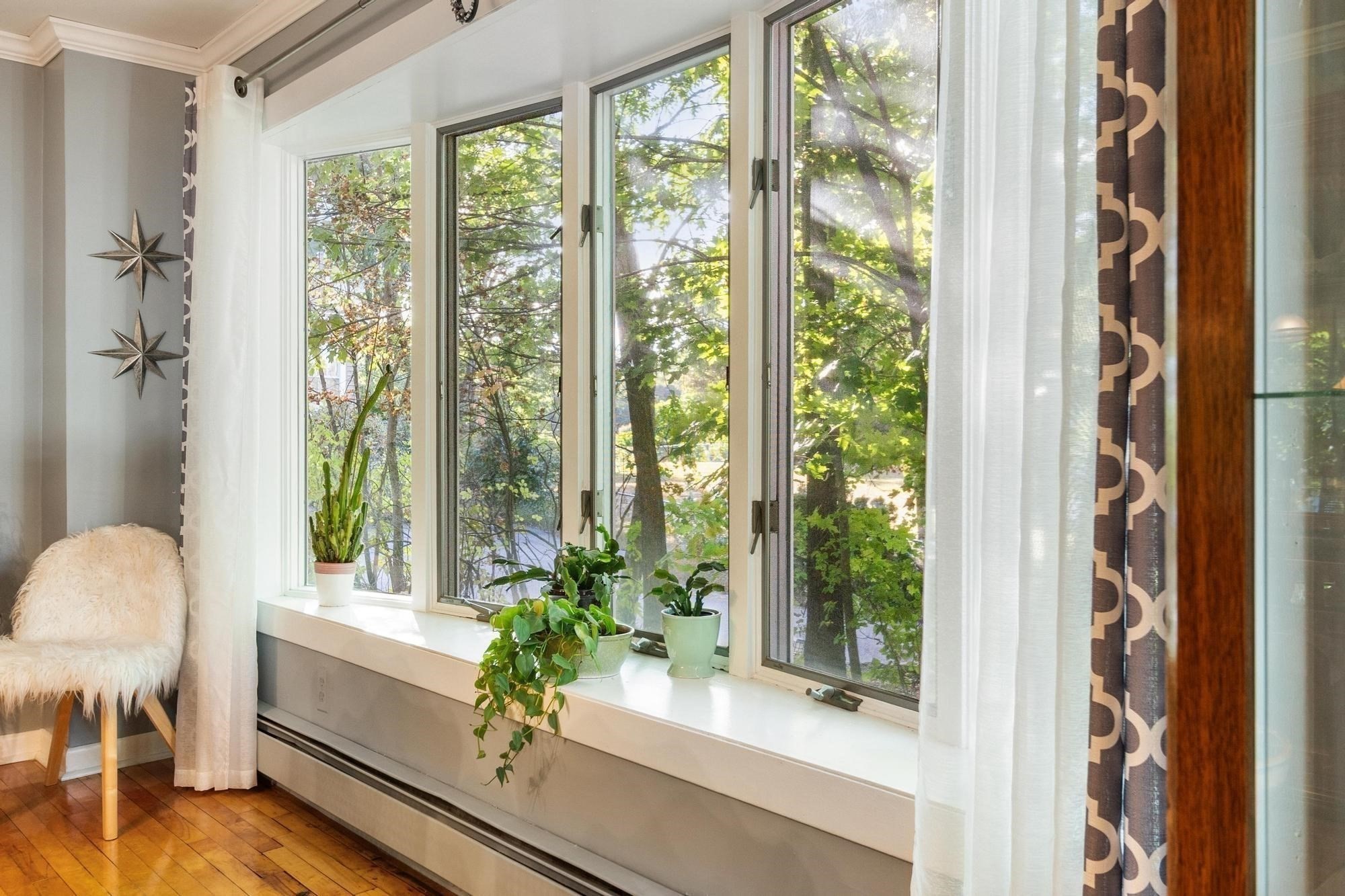 41 Smith St Property Photo 14