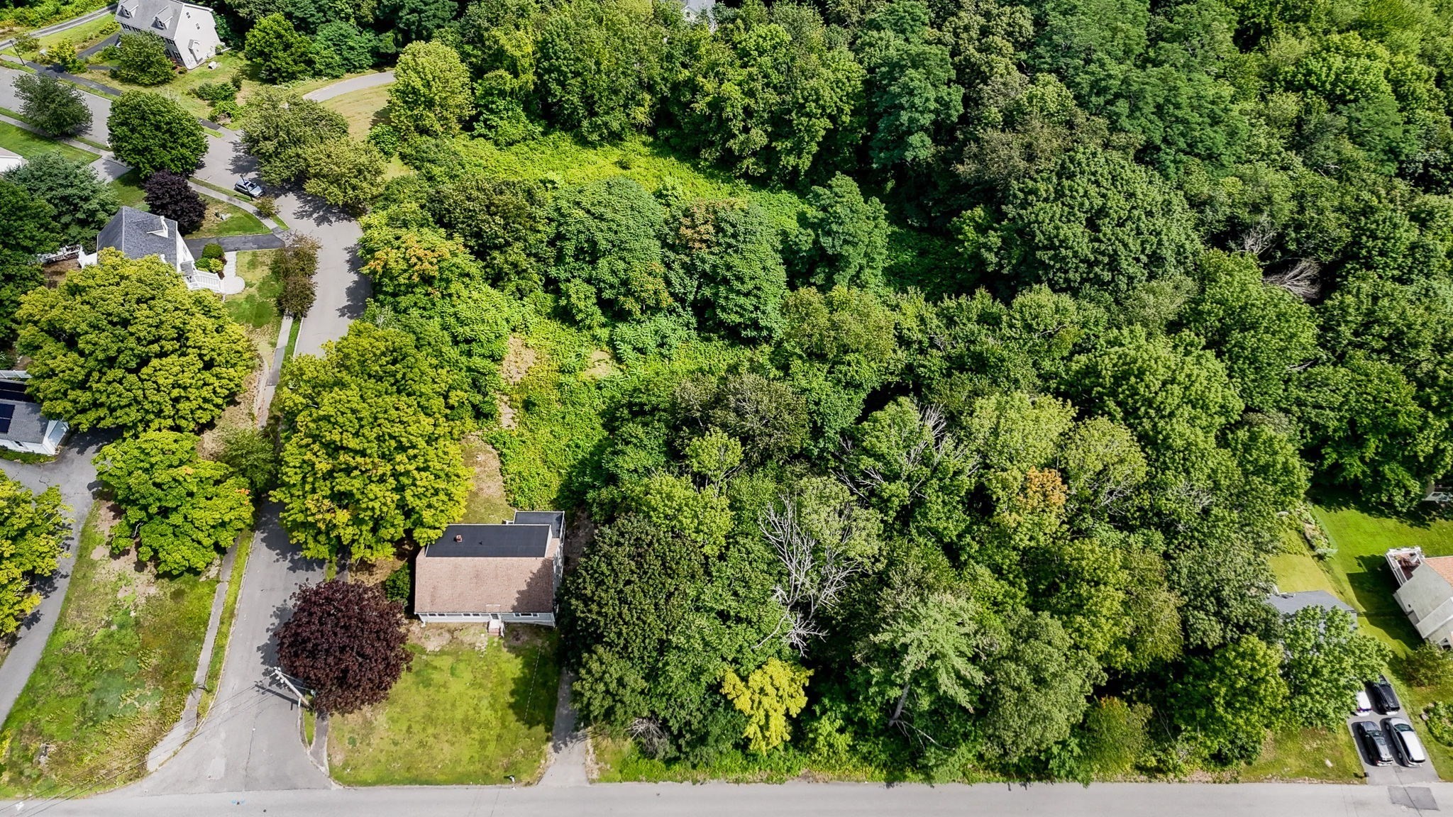 129 Forest St Property Photo 7