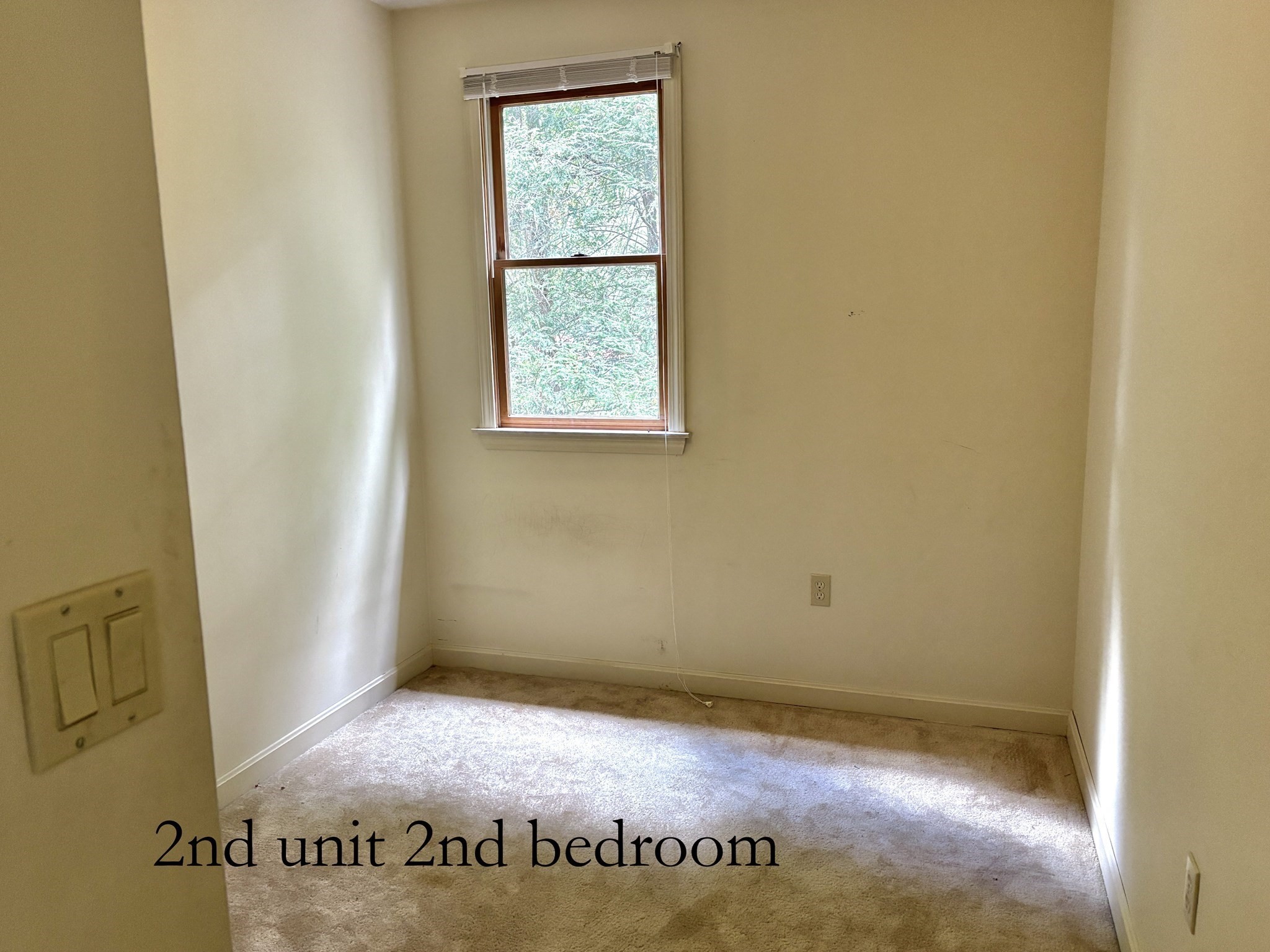 279 Oldham St Property Photo 29