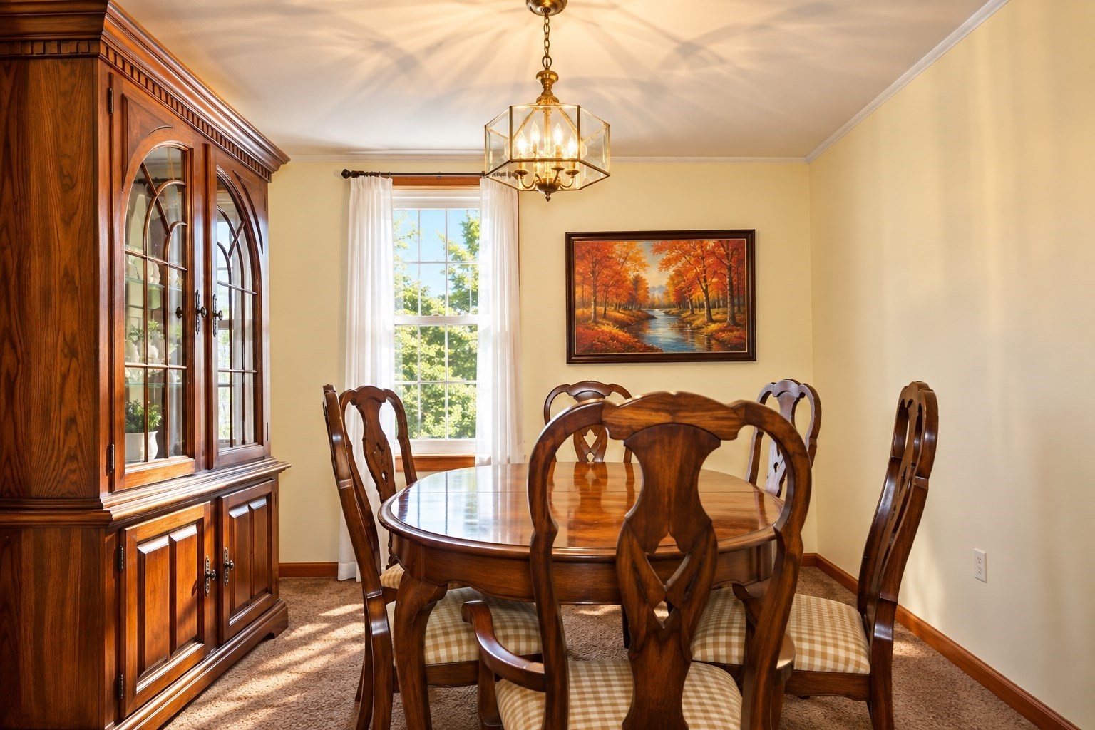 43 Mckinley St. Property Photo 9