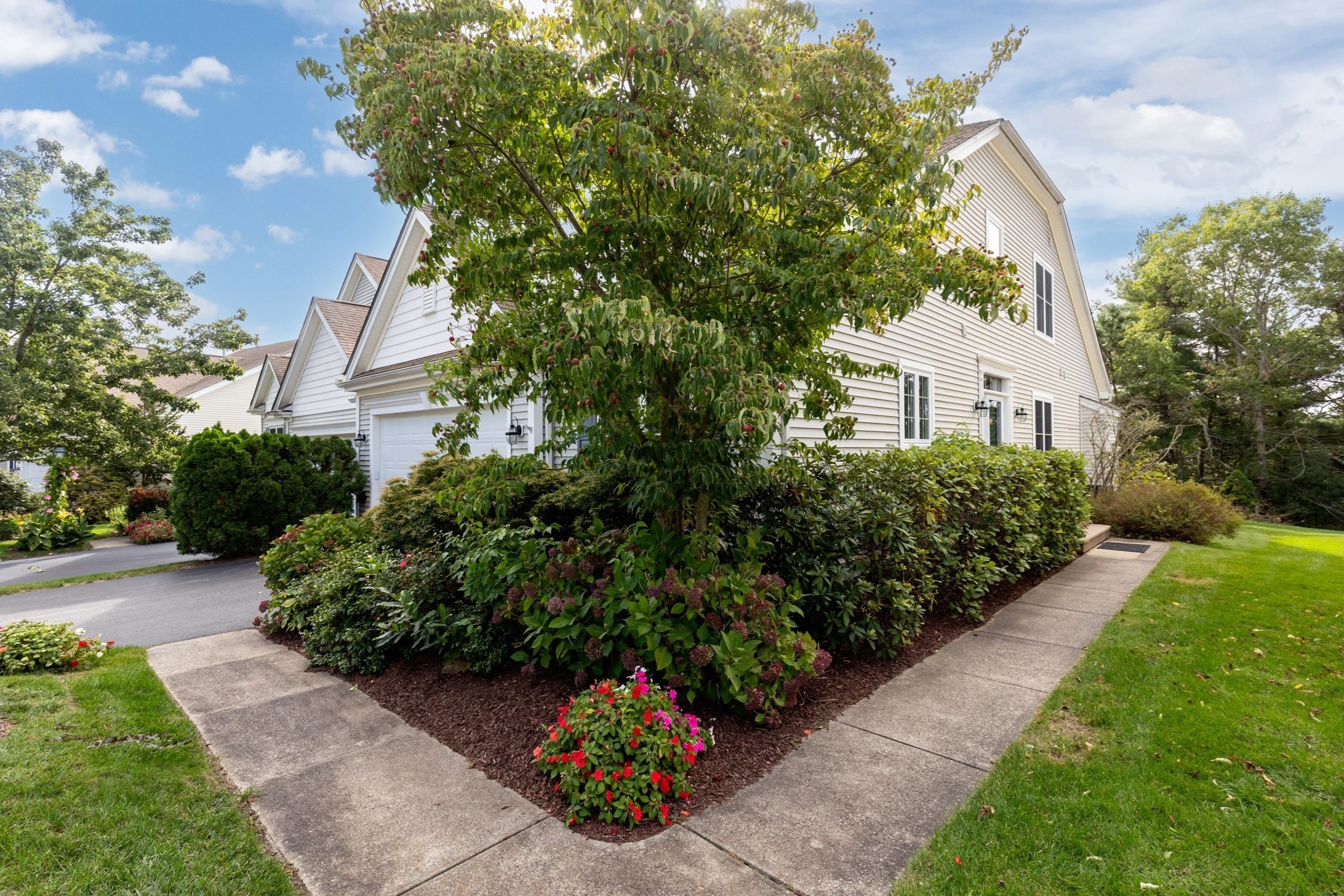7 White Trellis Property Photo 3