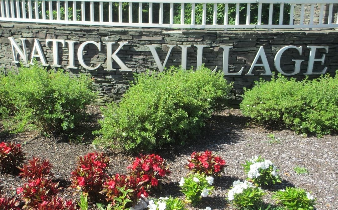 49 Village Brook Lane # 6 Property Photo 20