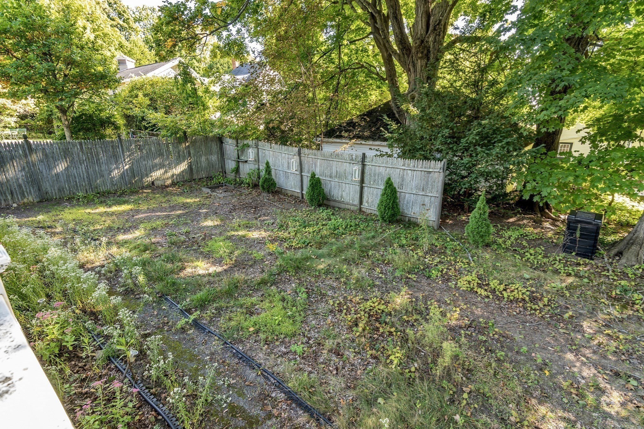 53 Westminster Ave Property Photo 24