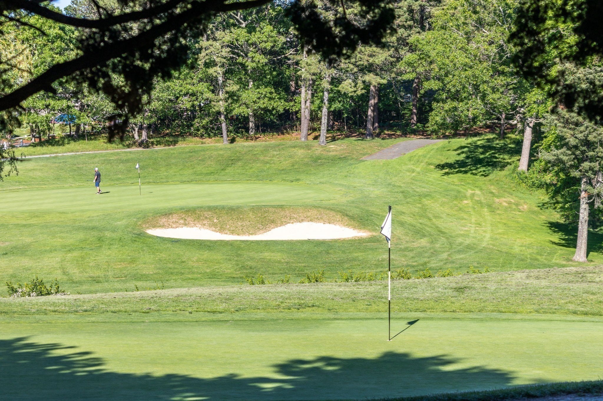 2 Par 3 Drive Property Photo 35