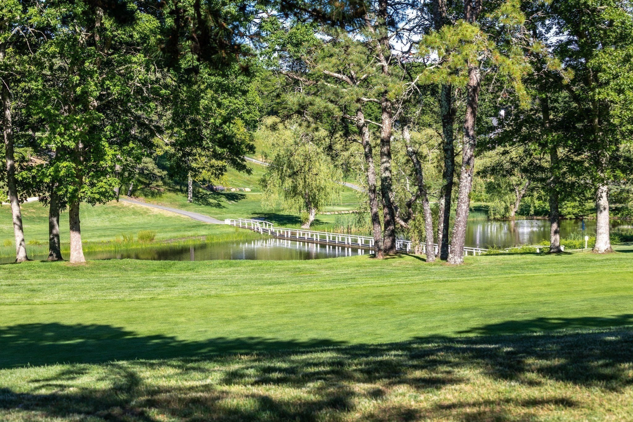 2 Par 3 Drive Property Photo 37