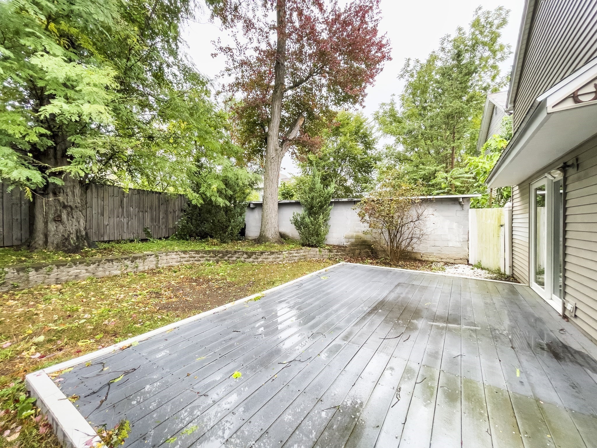 28 Wells Ave Property Photo 17